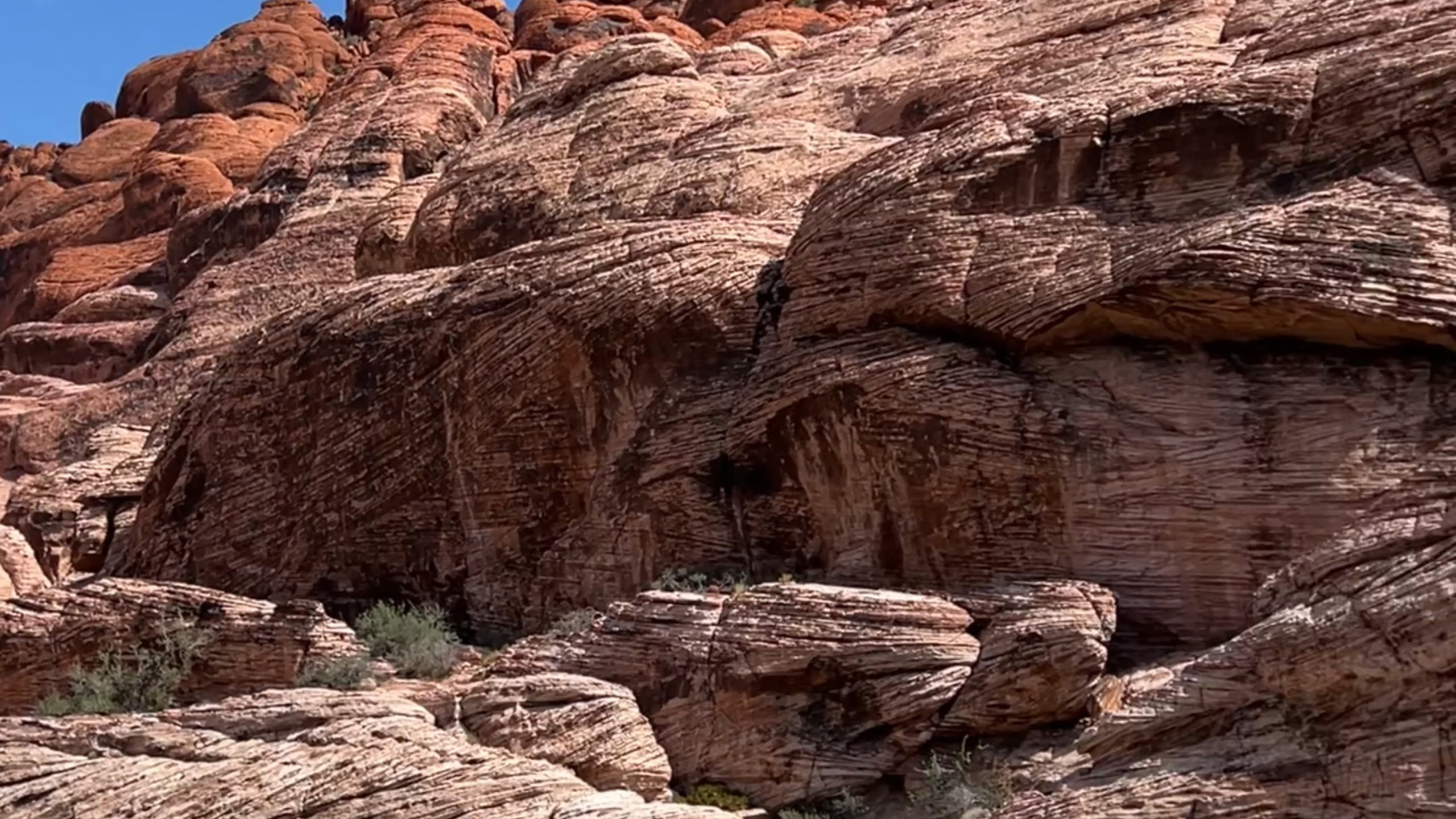 Videos. Creative photographer in Las Vegas