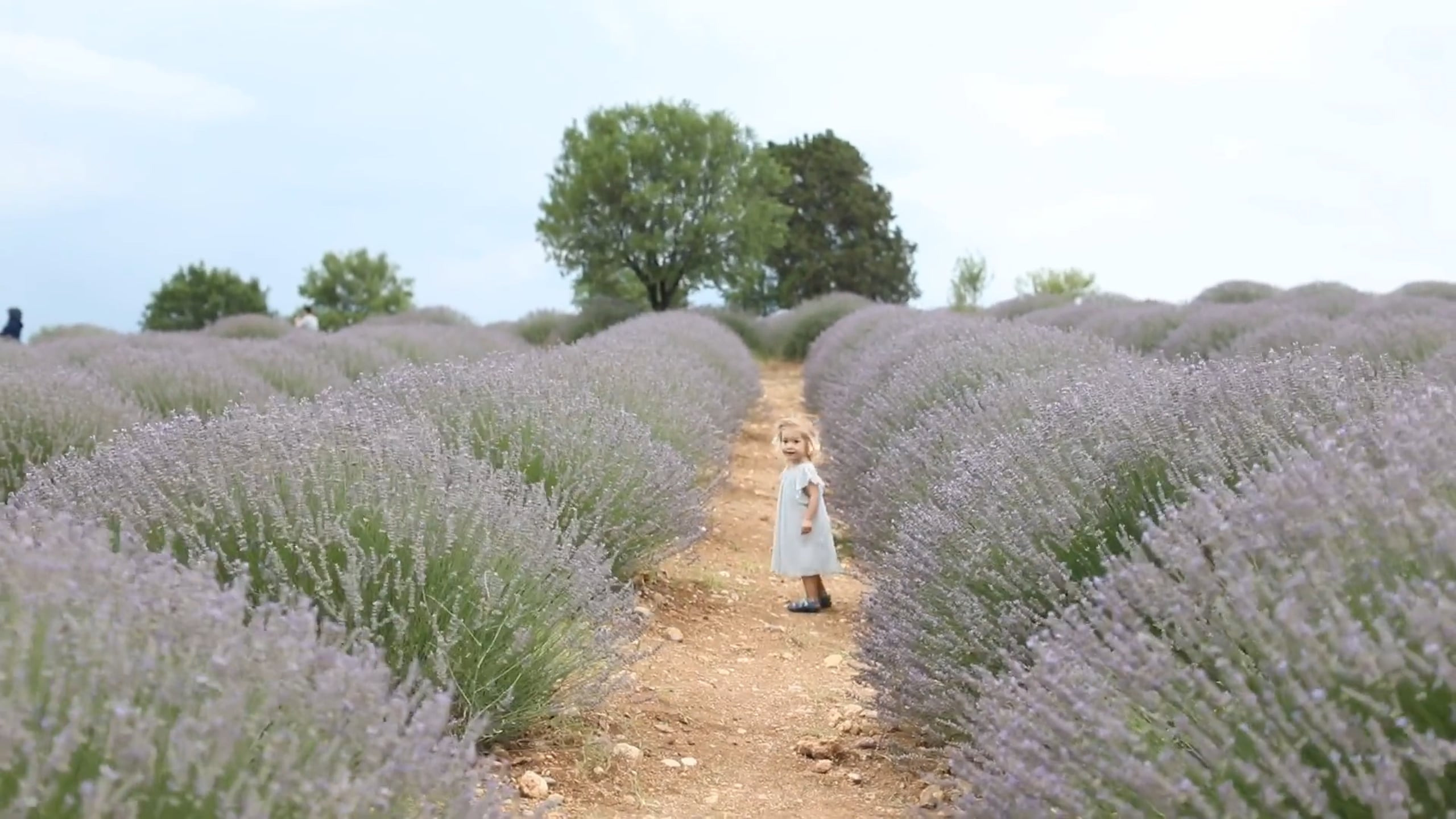 Family photo session in lavender fields in Turkey. Julia Ganch I Fashion Wedding Photography I Cappadocia Turkey