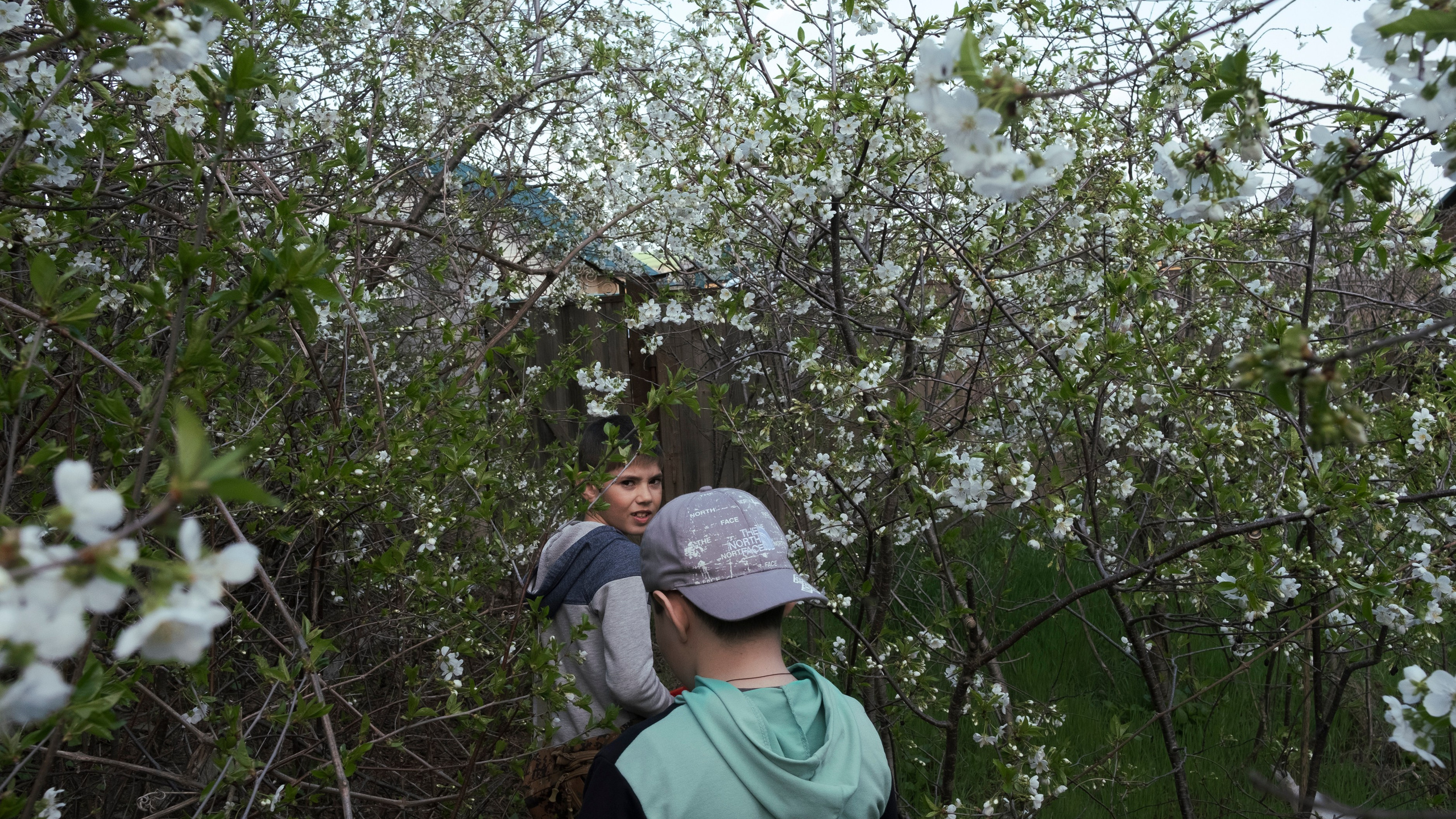 CIRCLE. Dara Petrova