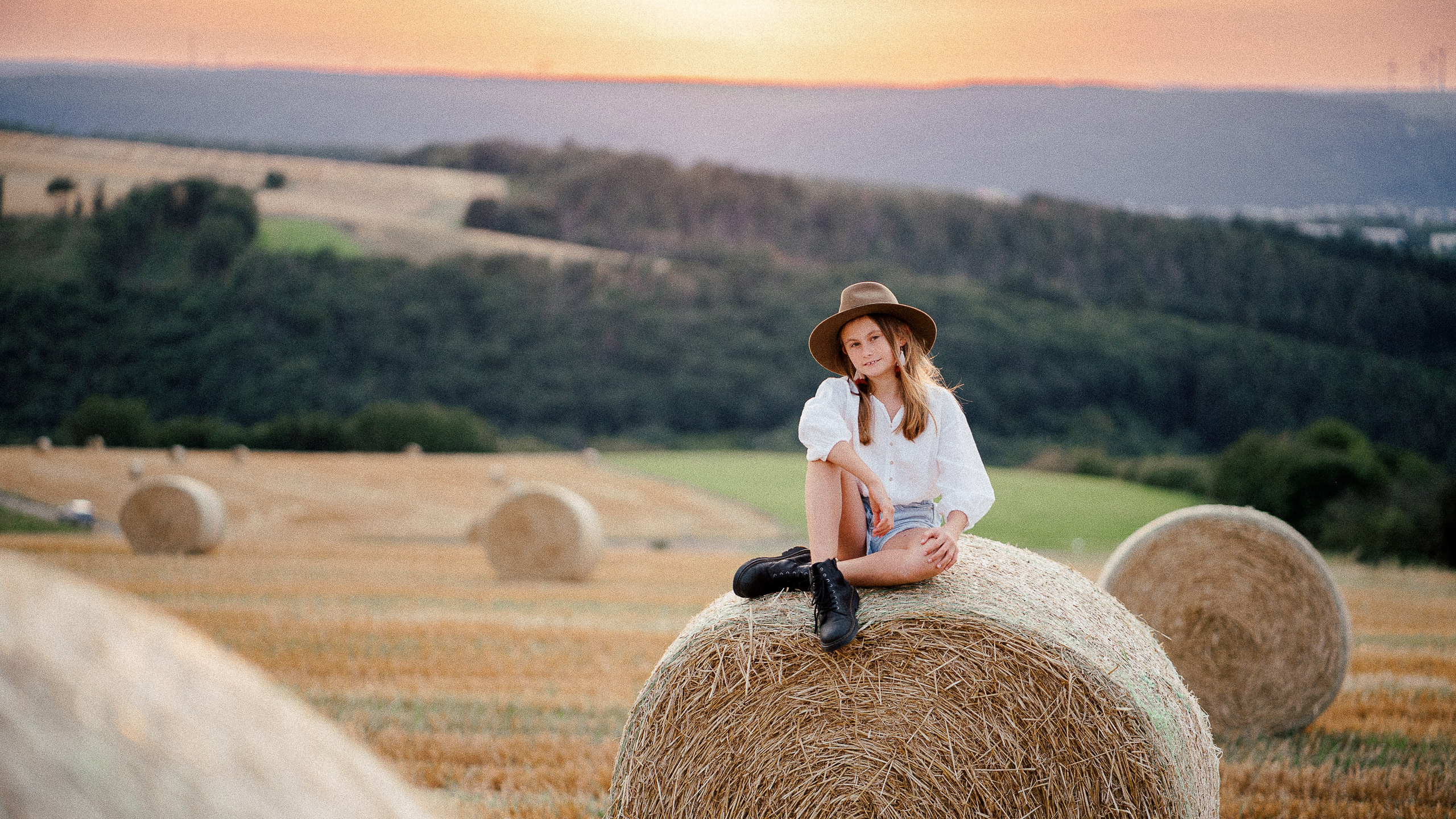 Summer evening fields