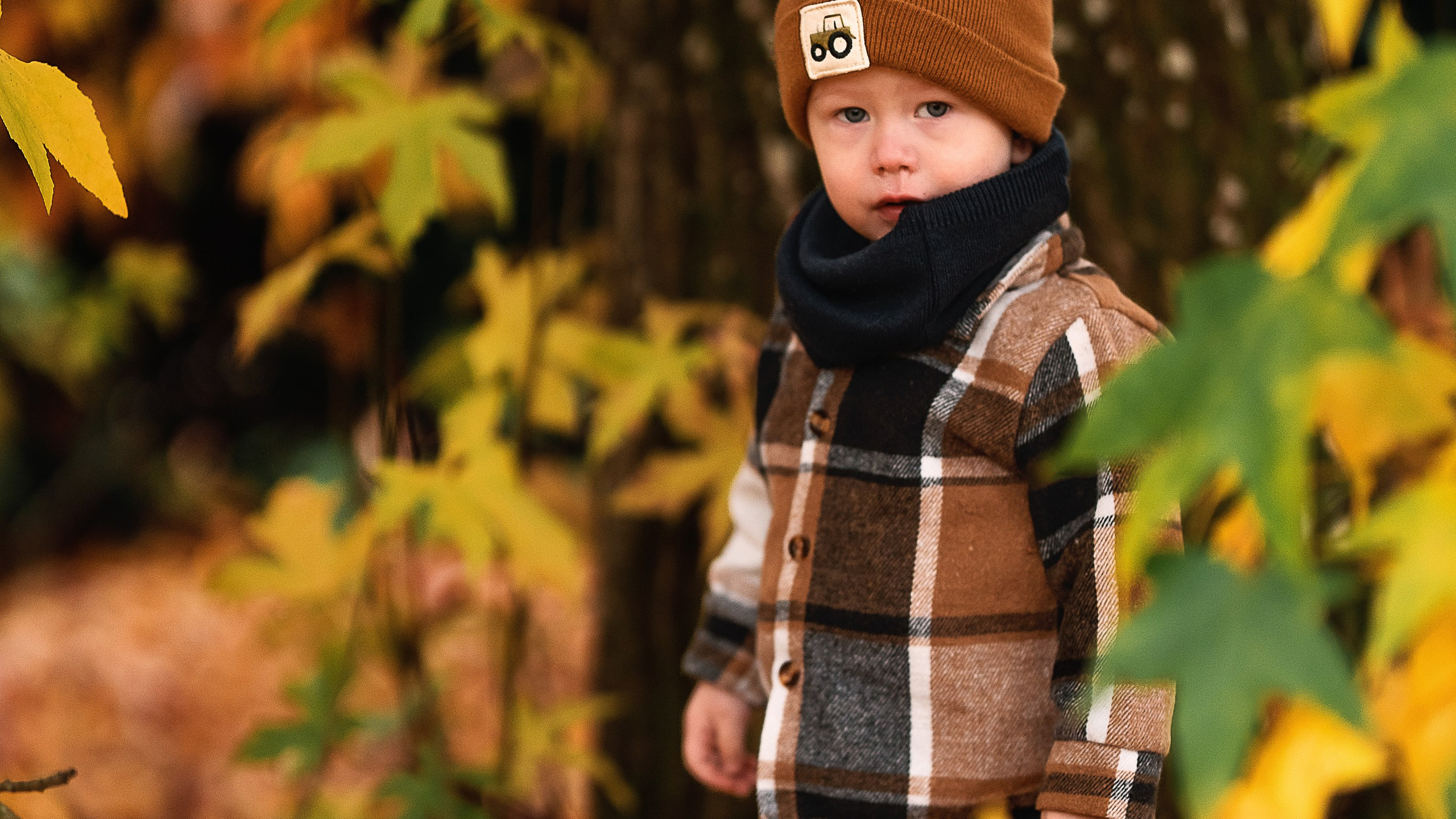 Beautiful autumn days