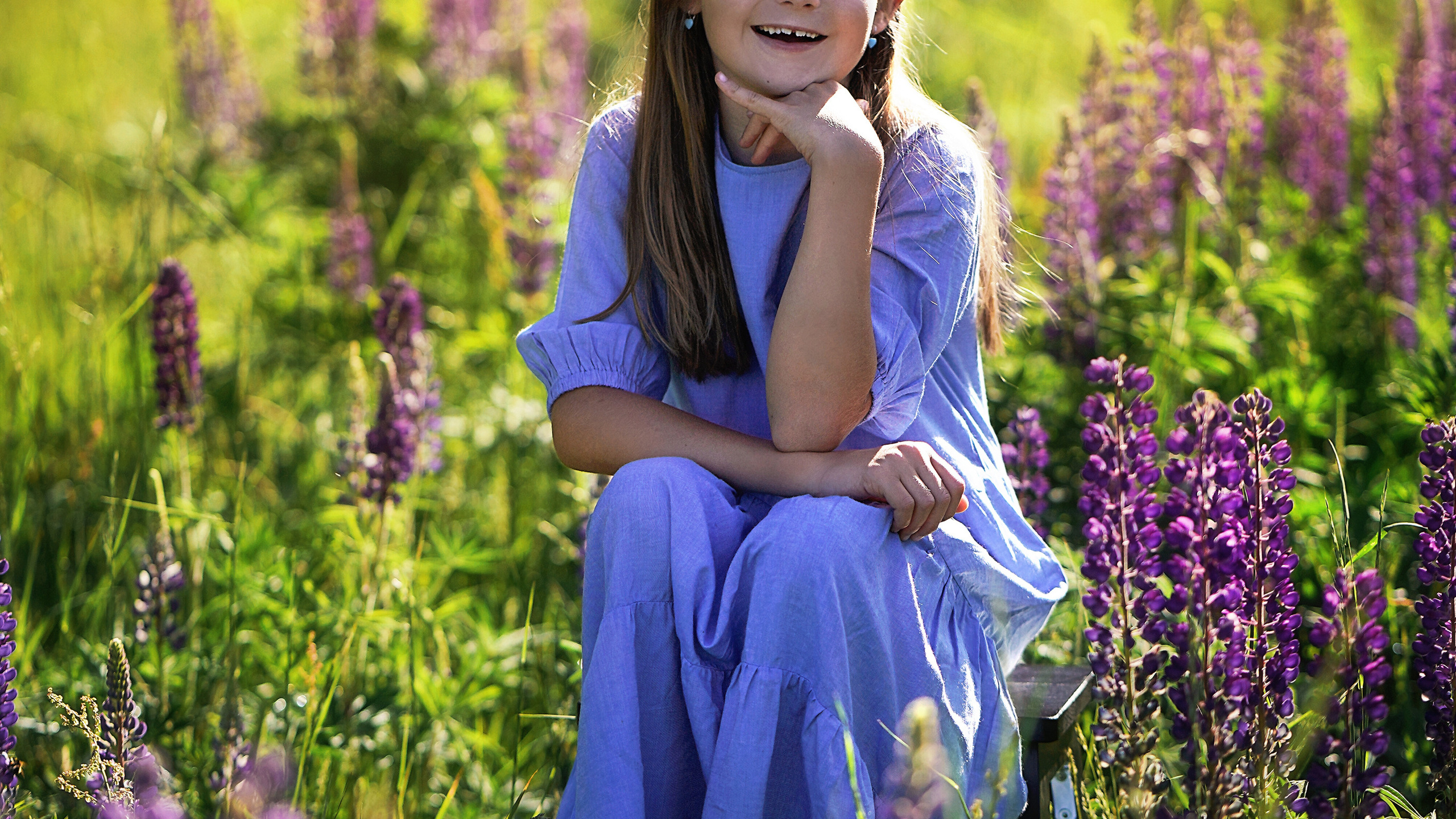 Дикие люпины