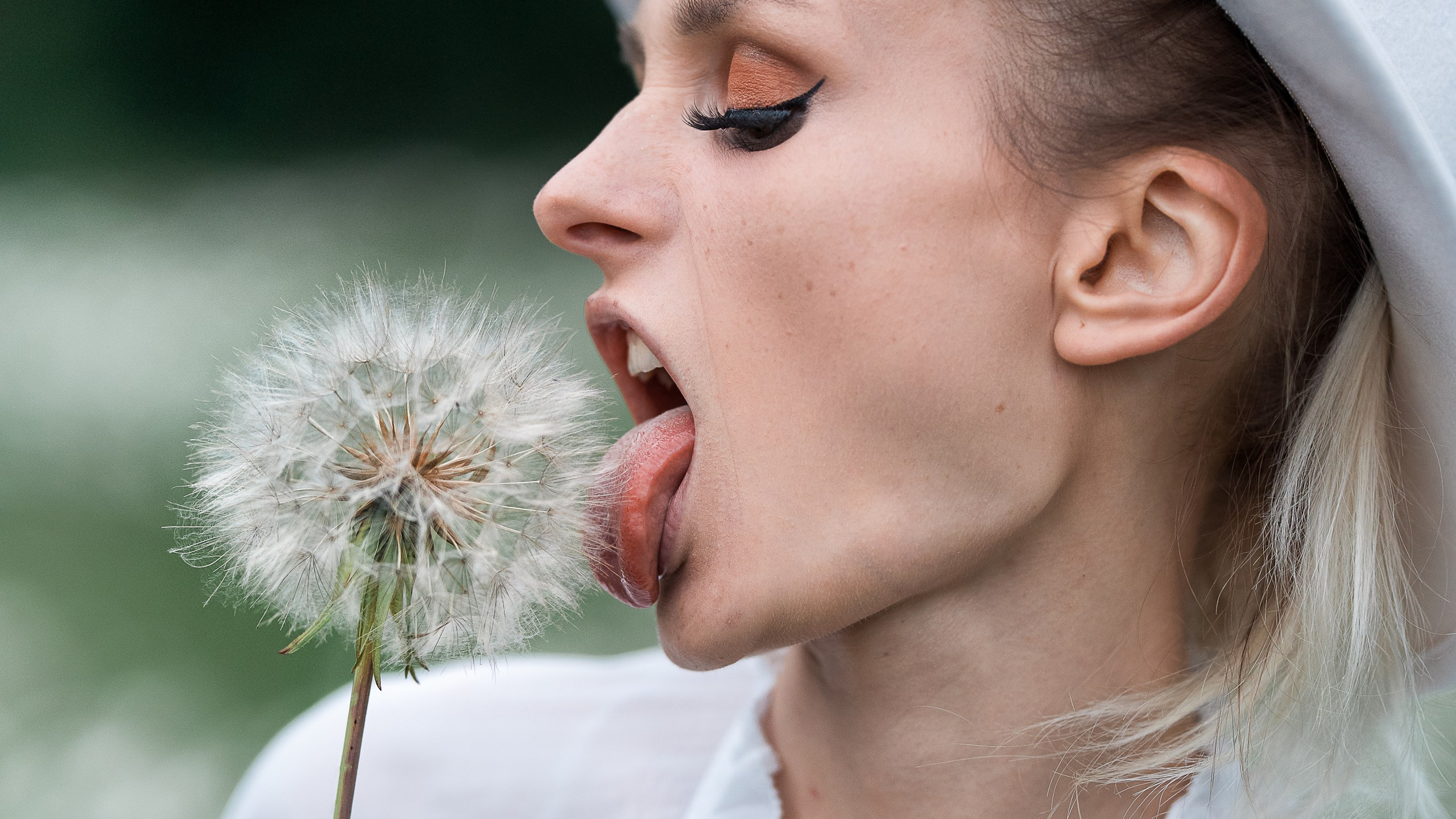 Mohnblumen. Pusteblumen.