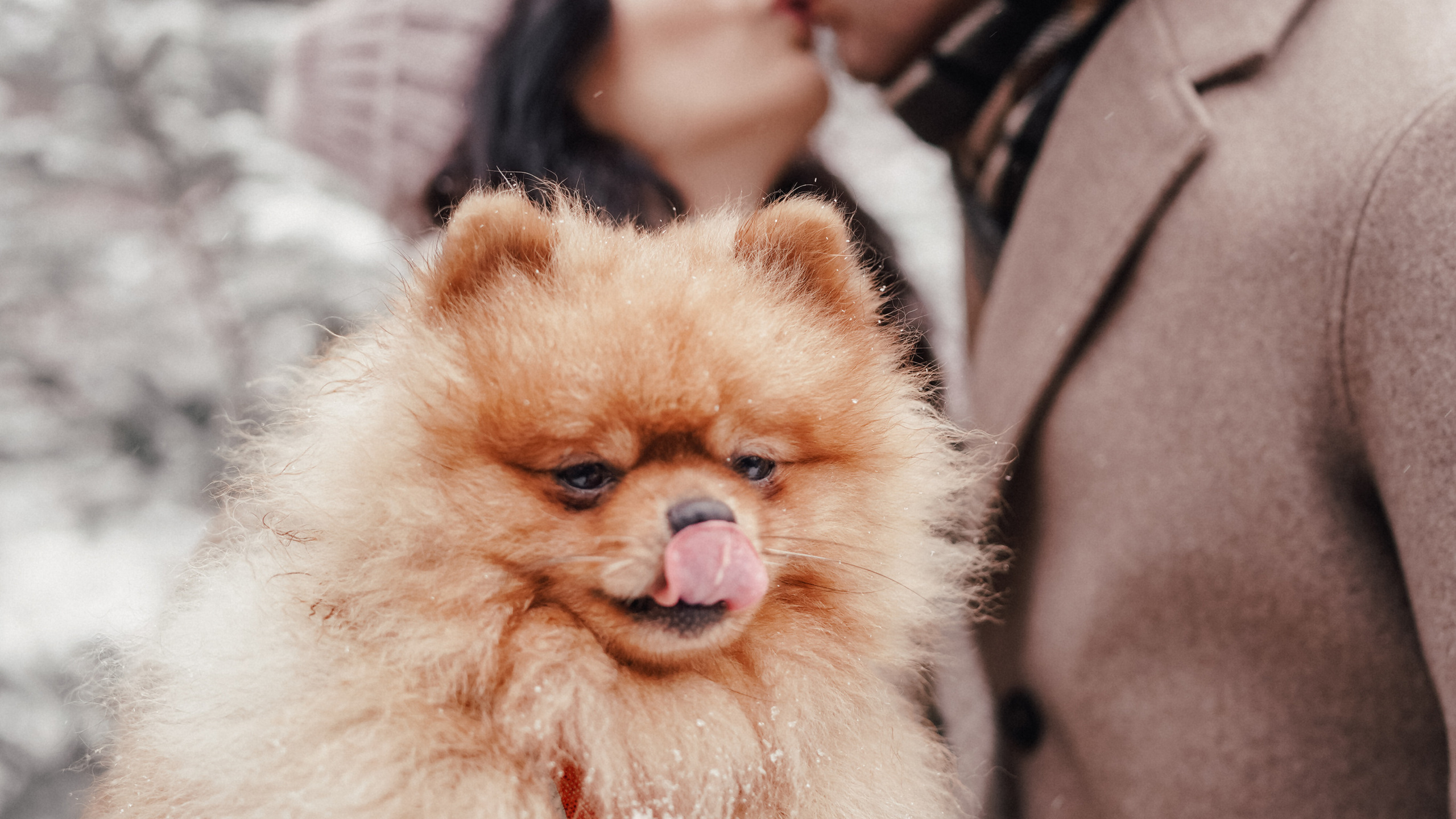 Katya, Egor and furry Filyusha