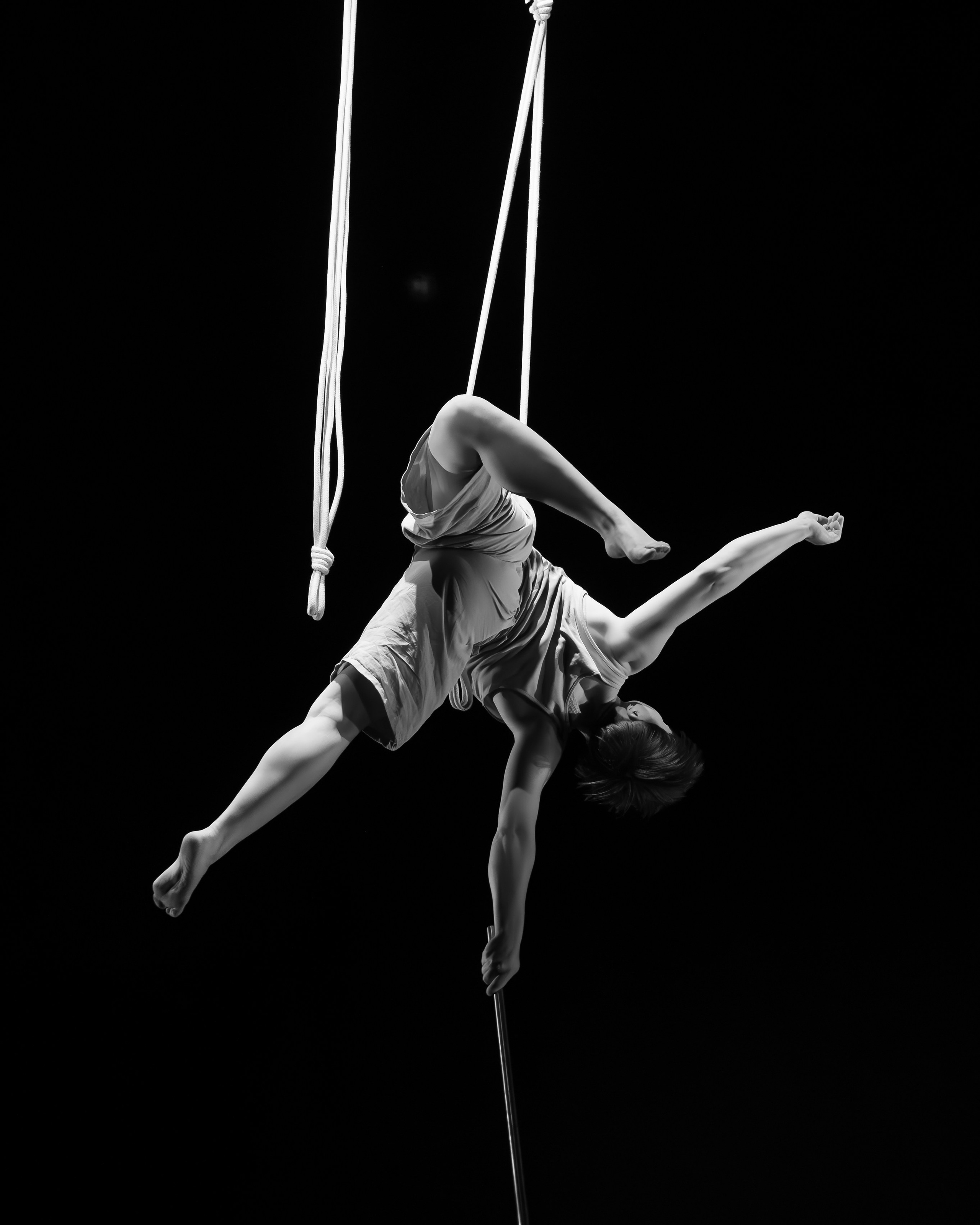 Circus kolektiv spektaklis