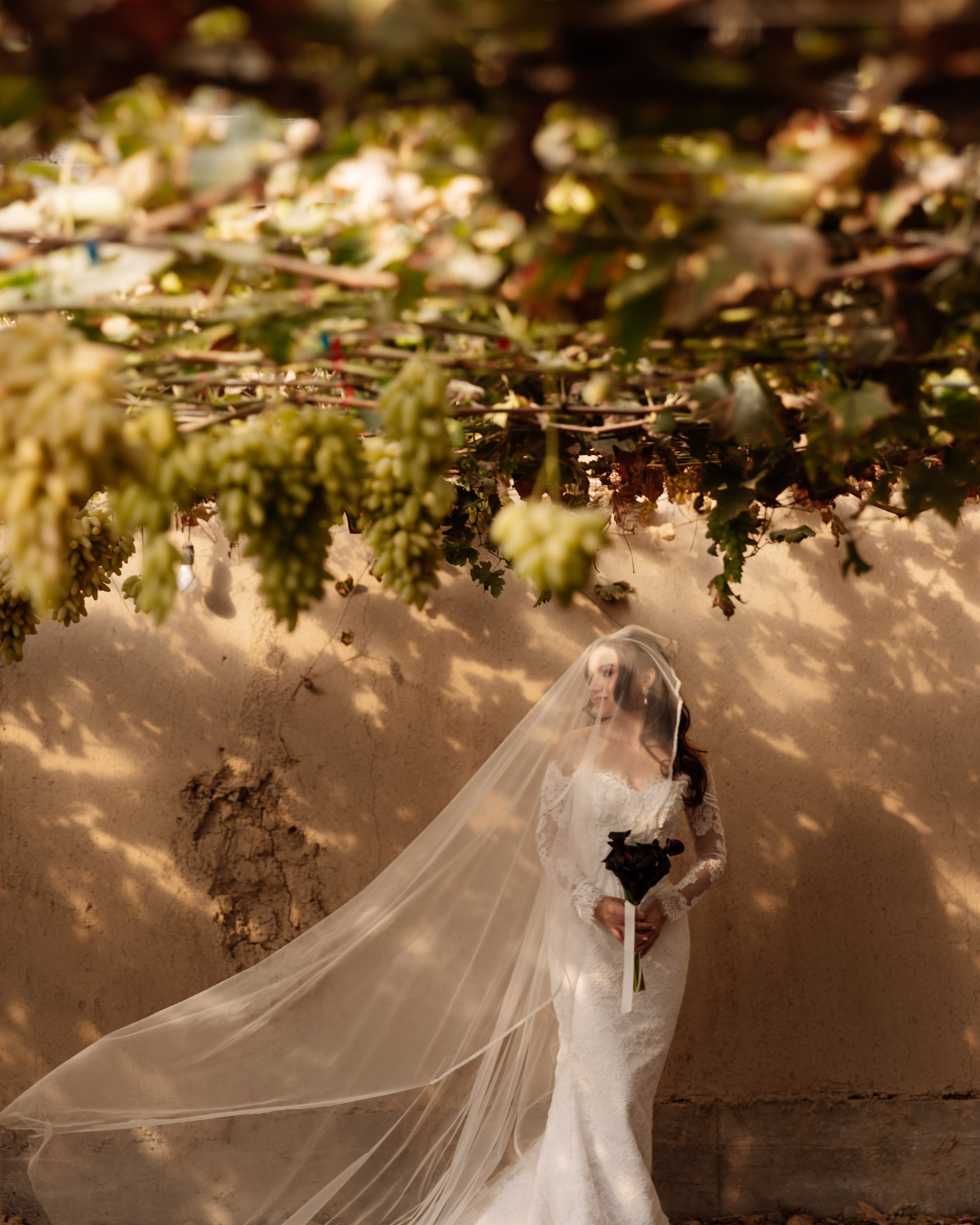 Свадьба на&nbsp;винодельне