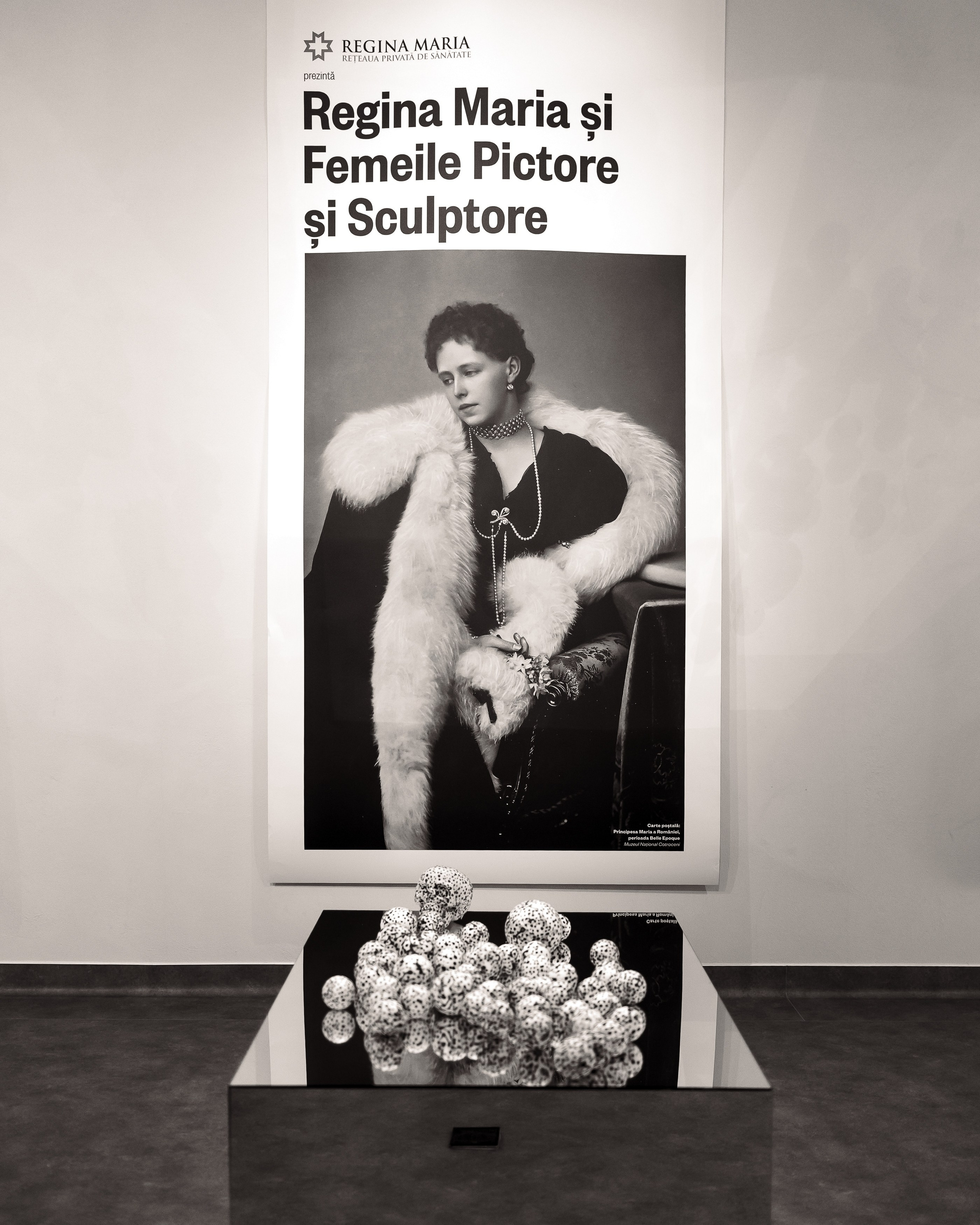 Regina Maria - Baia Turceasca