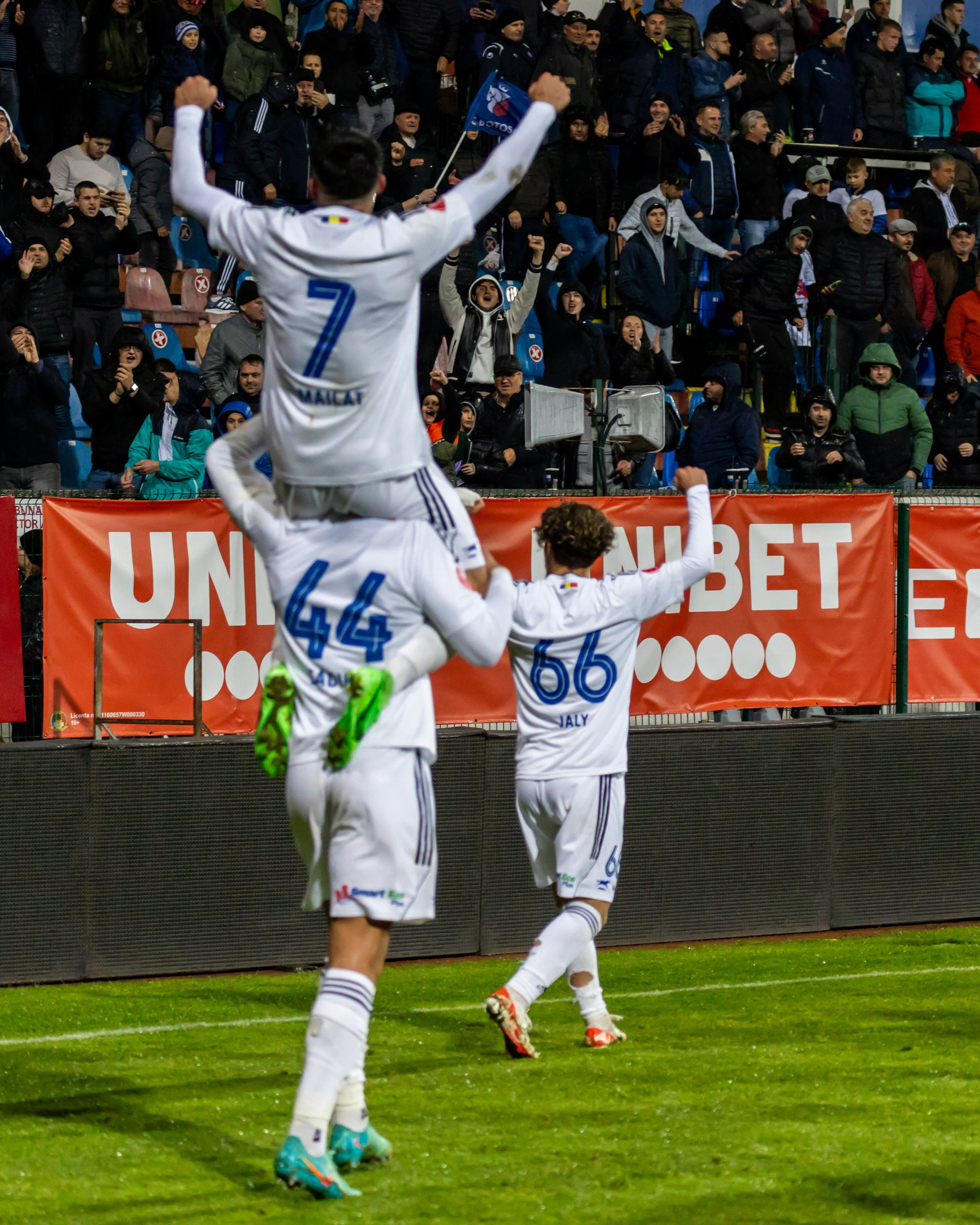 FC BOTOSANI - DINAMO BUCURESTI