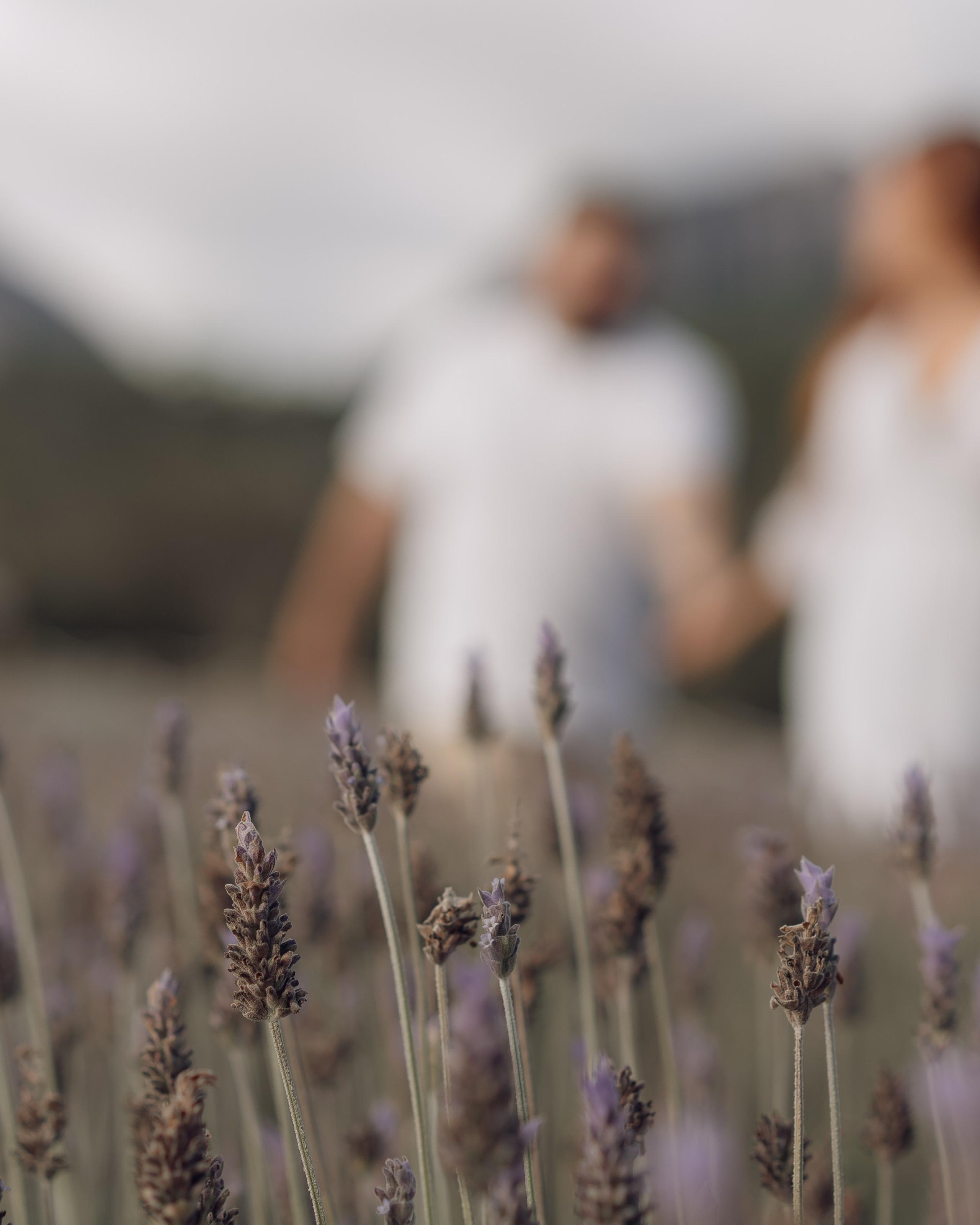 Joana & Robert | Lavandário em Pedra Azul
