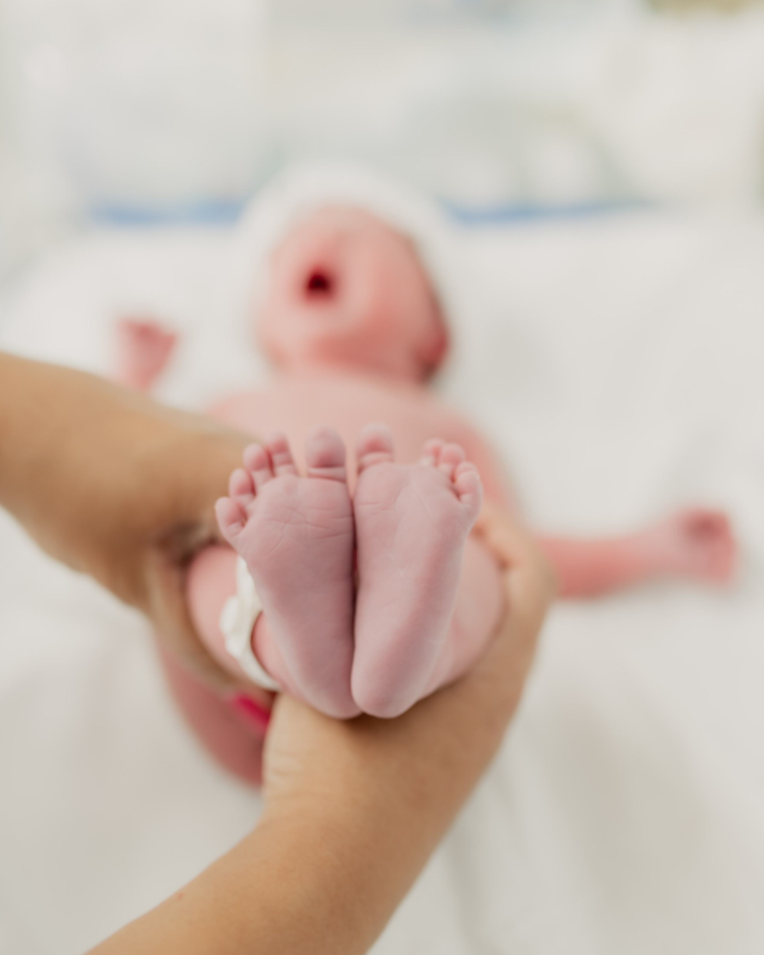 2024-11-25 | Parto — Manu