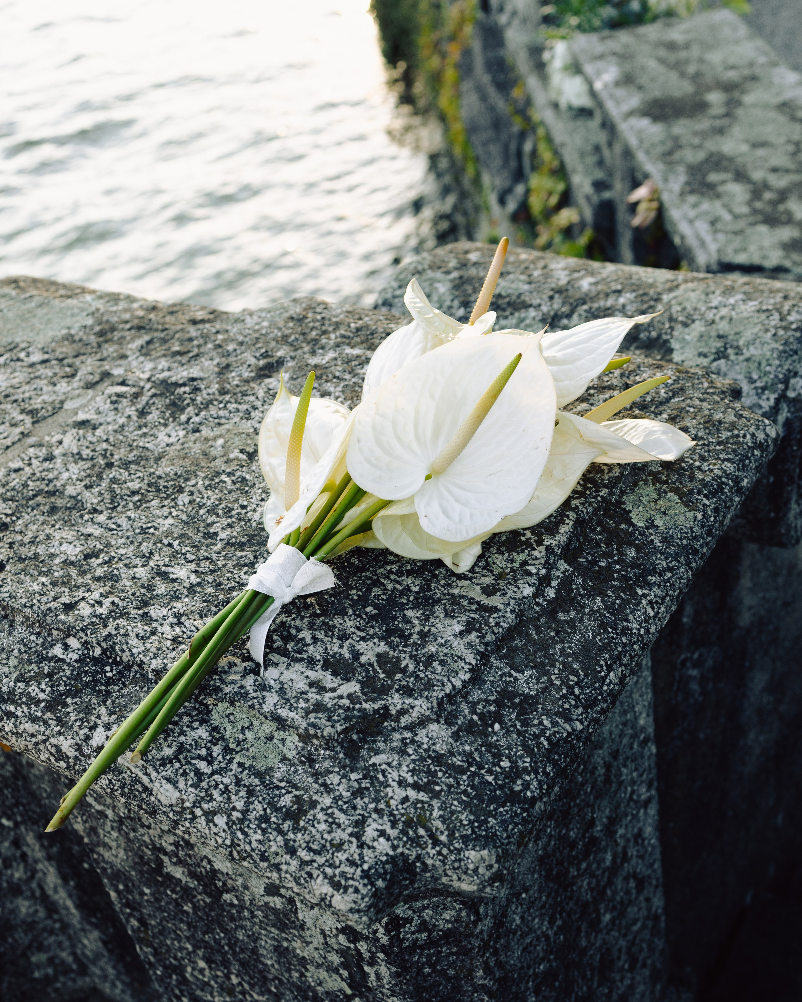 Ivanka & Stas | Como Lake