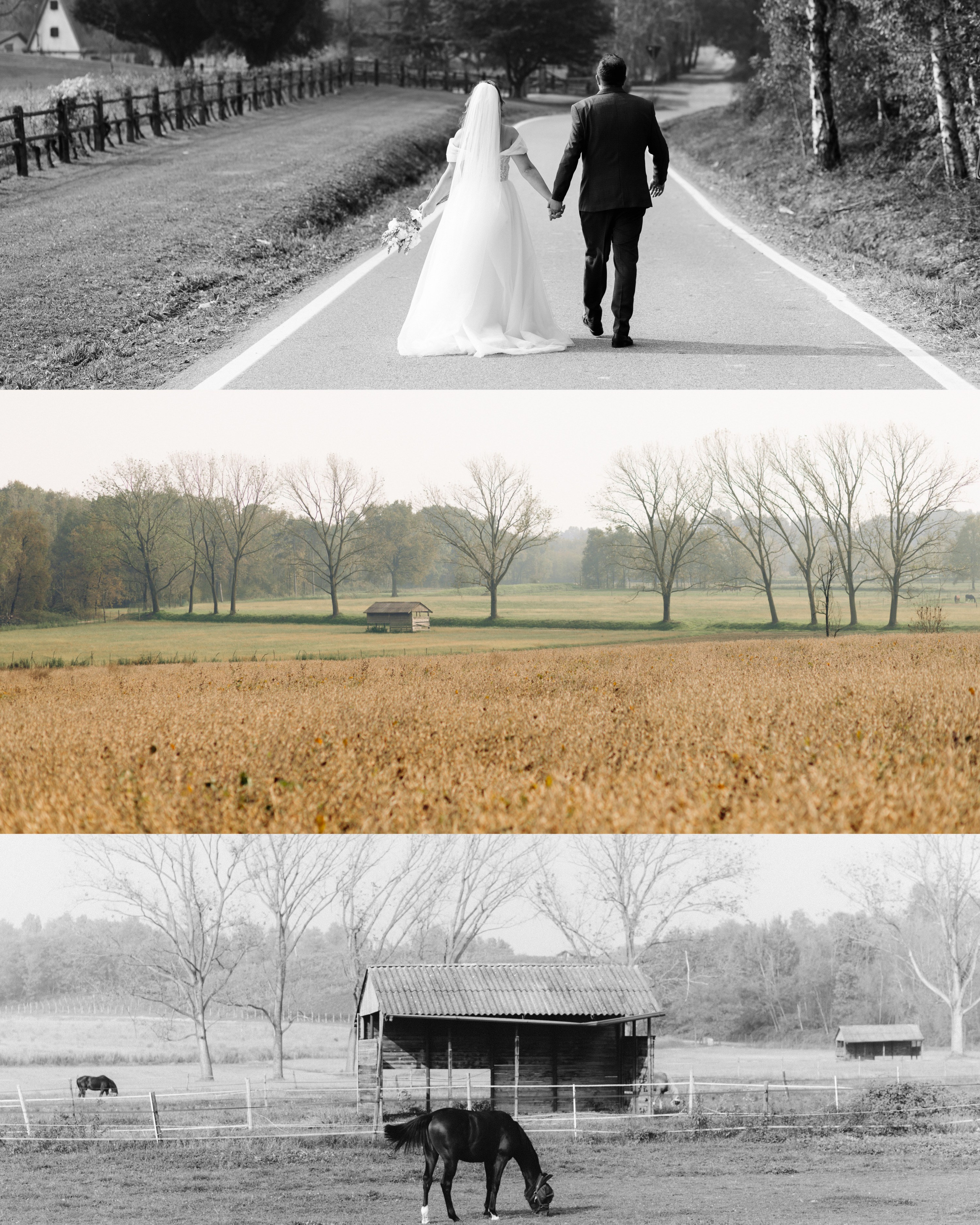 Kristina & Daniele | Piedmont