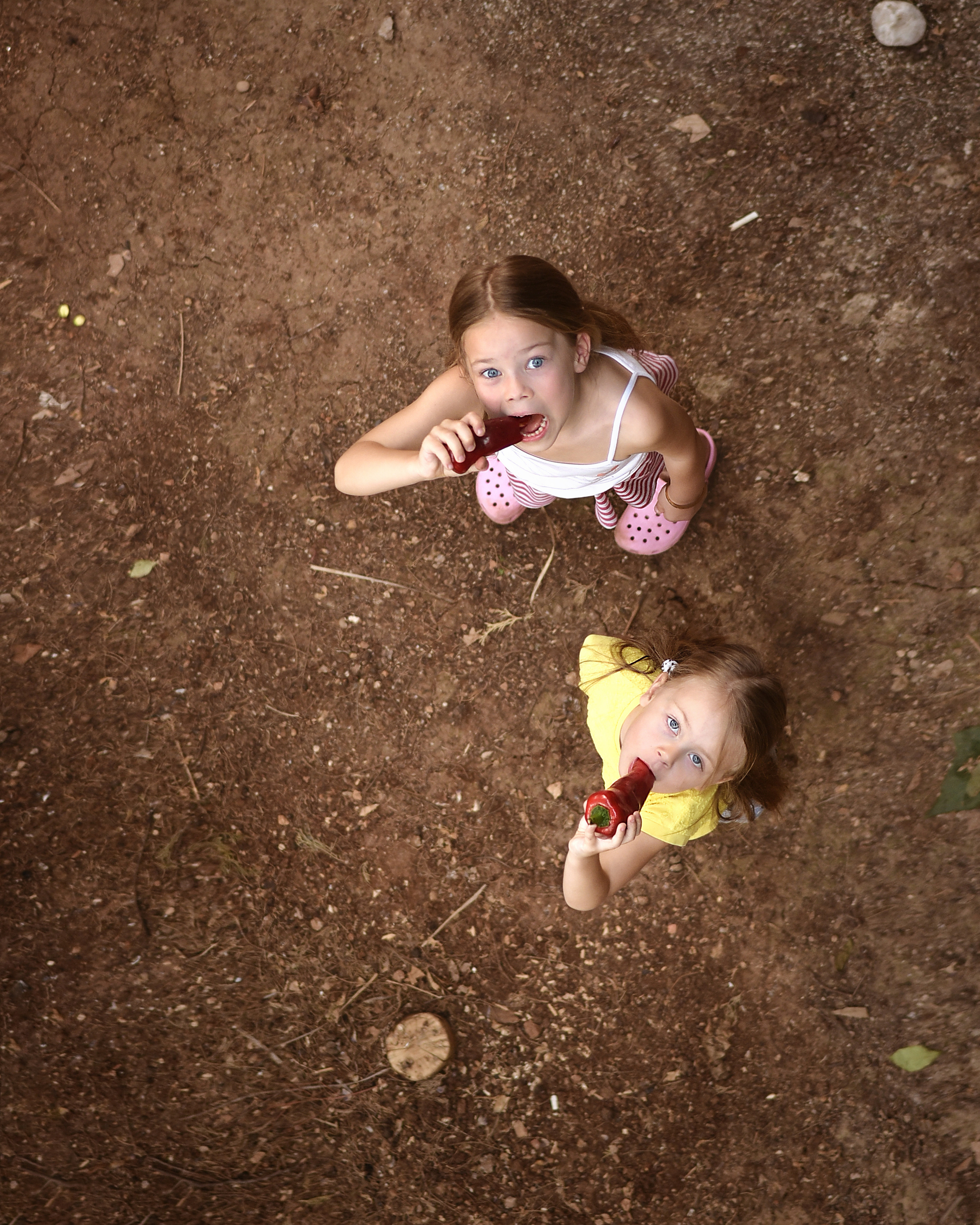 Семейное барбекю