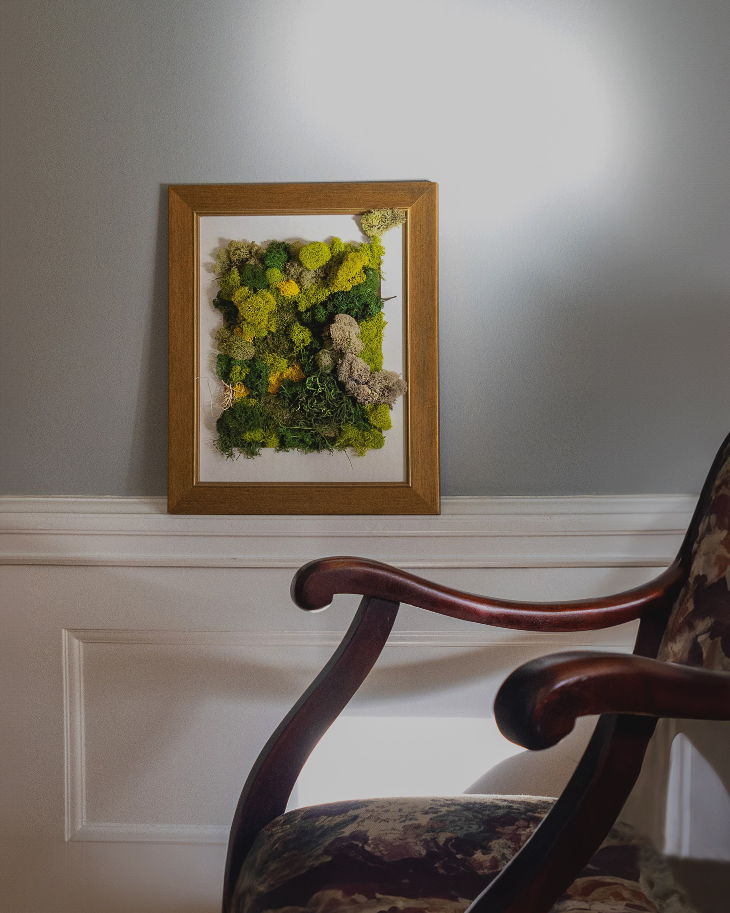 Anna & Moss magic, Content