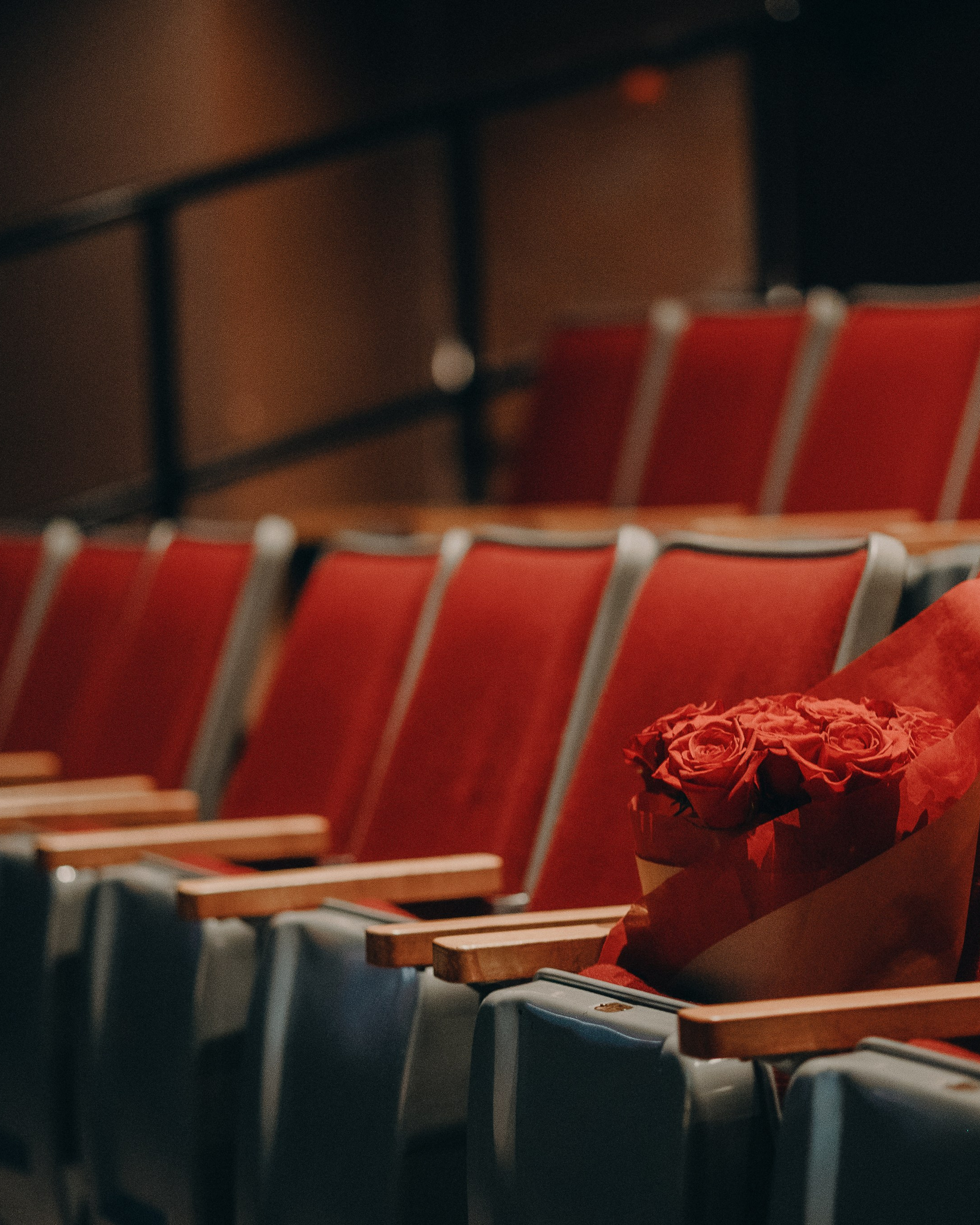 Chameleon — Reportage