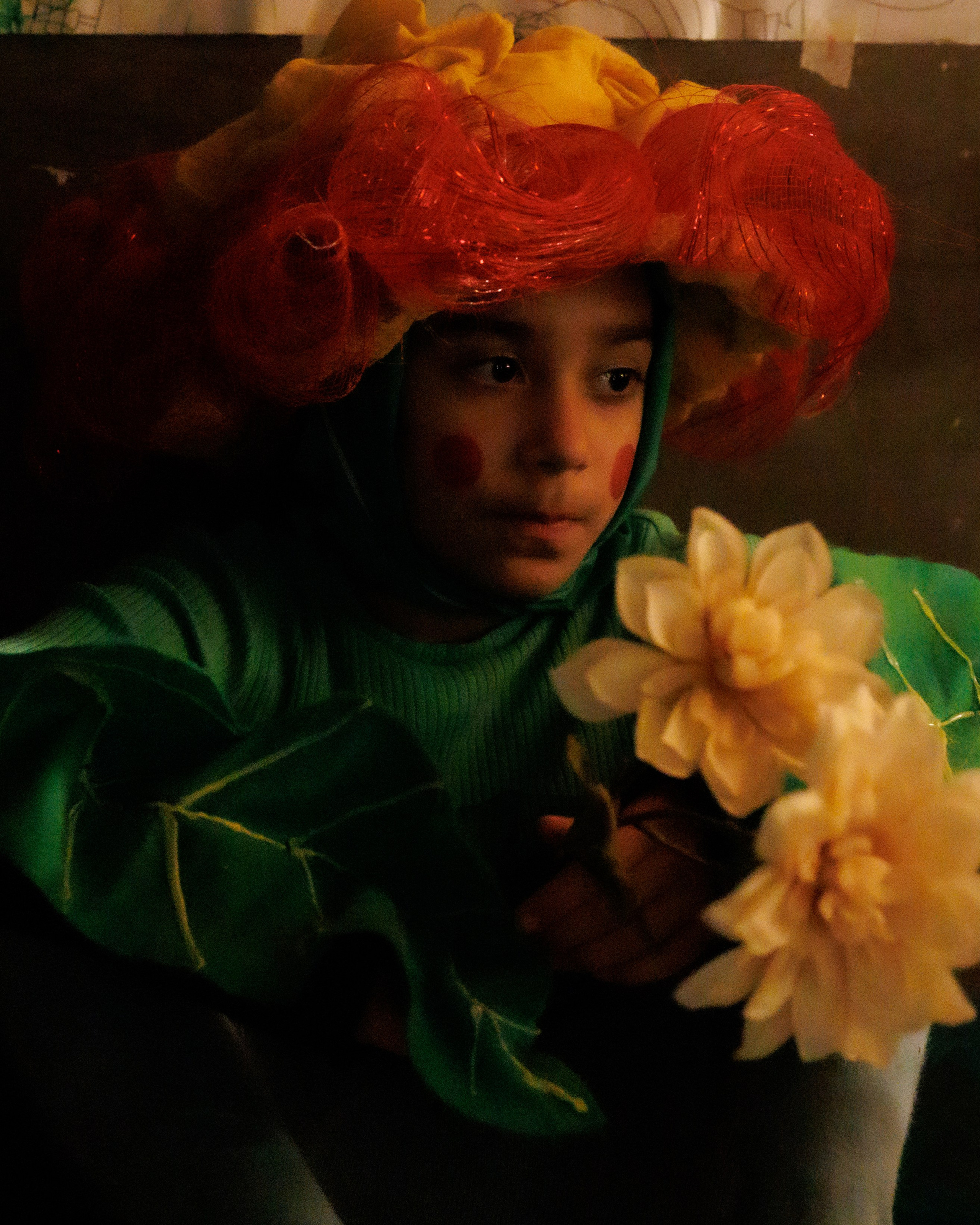 Alice in Wonderland