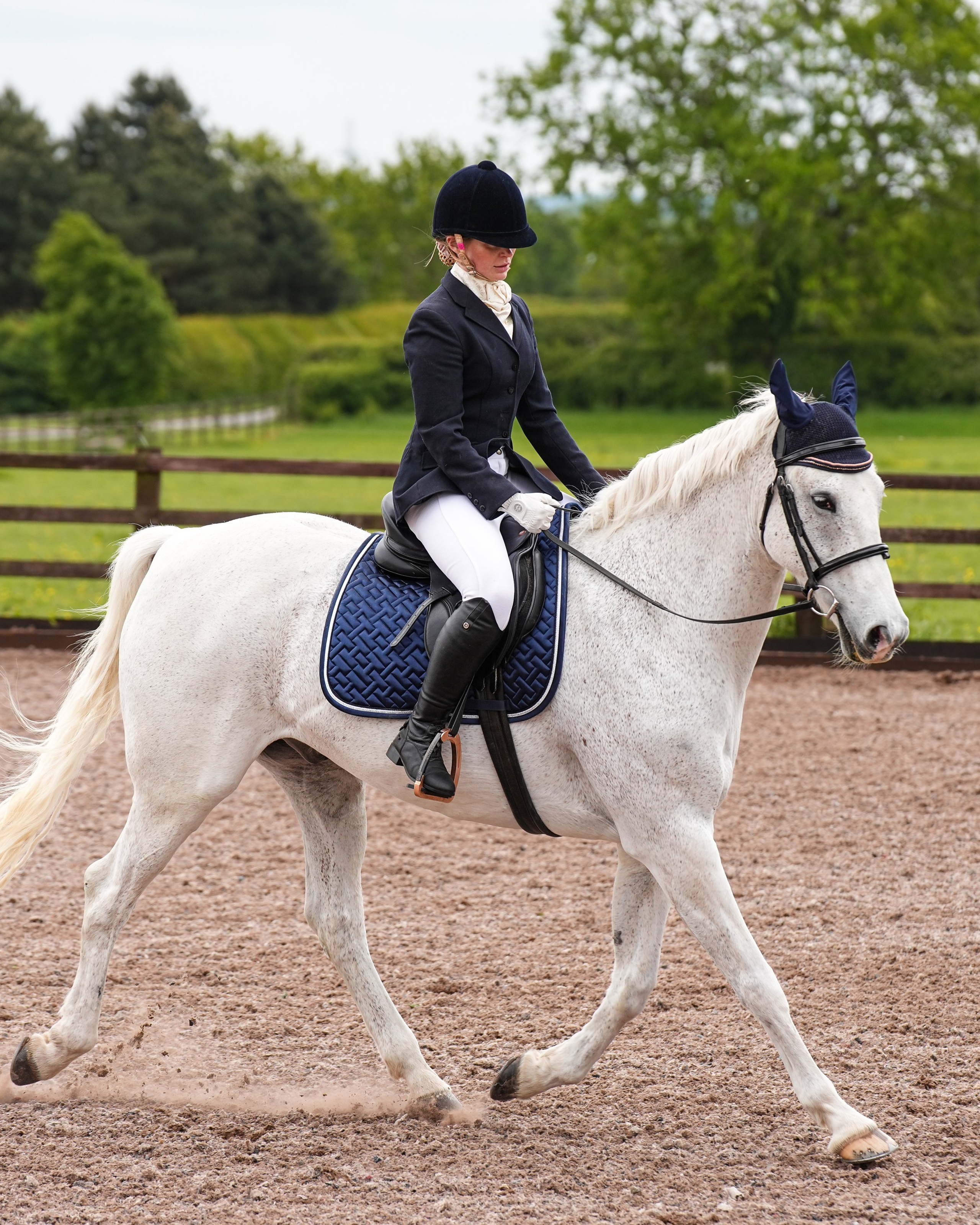 Dressage