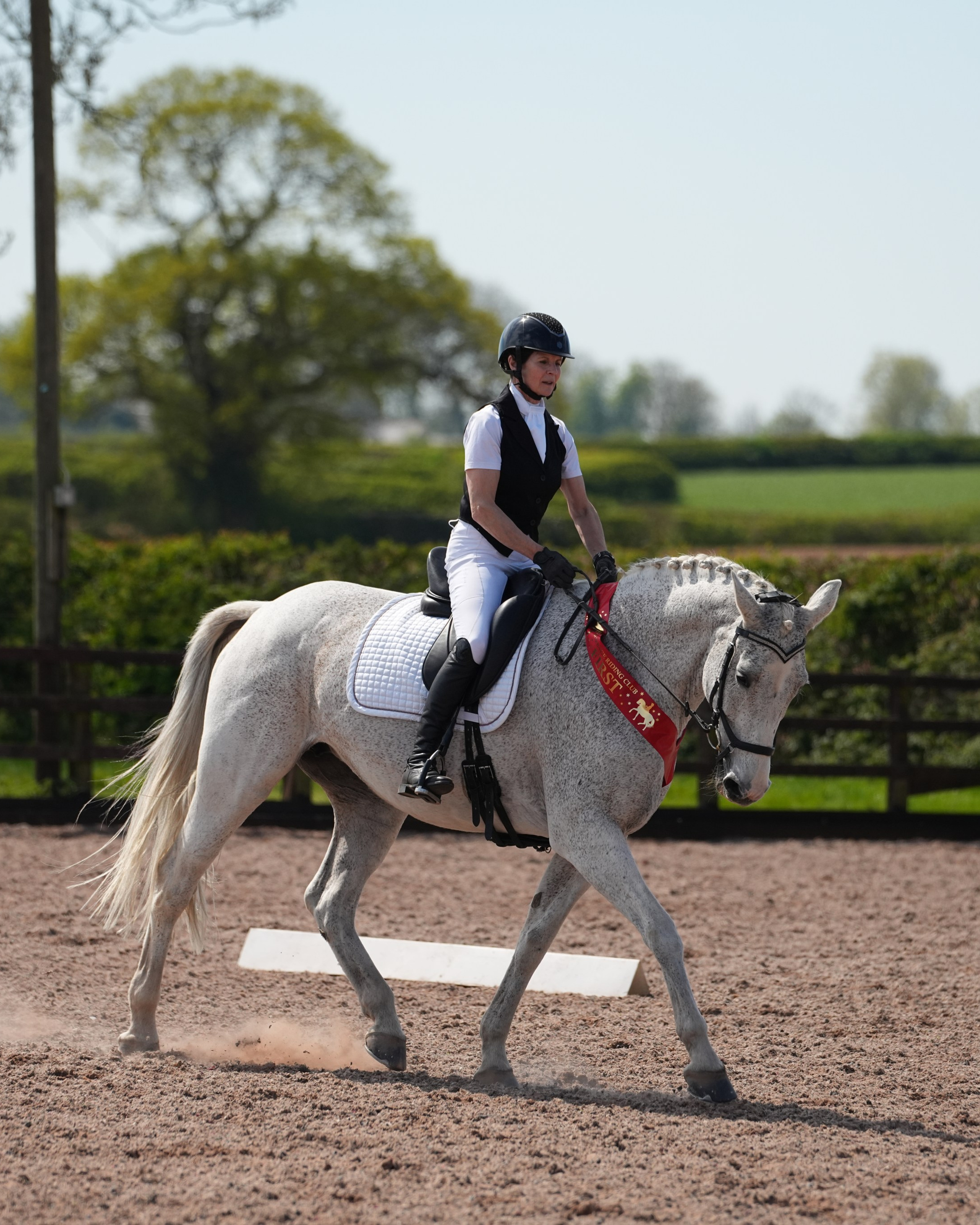 Dressage