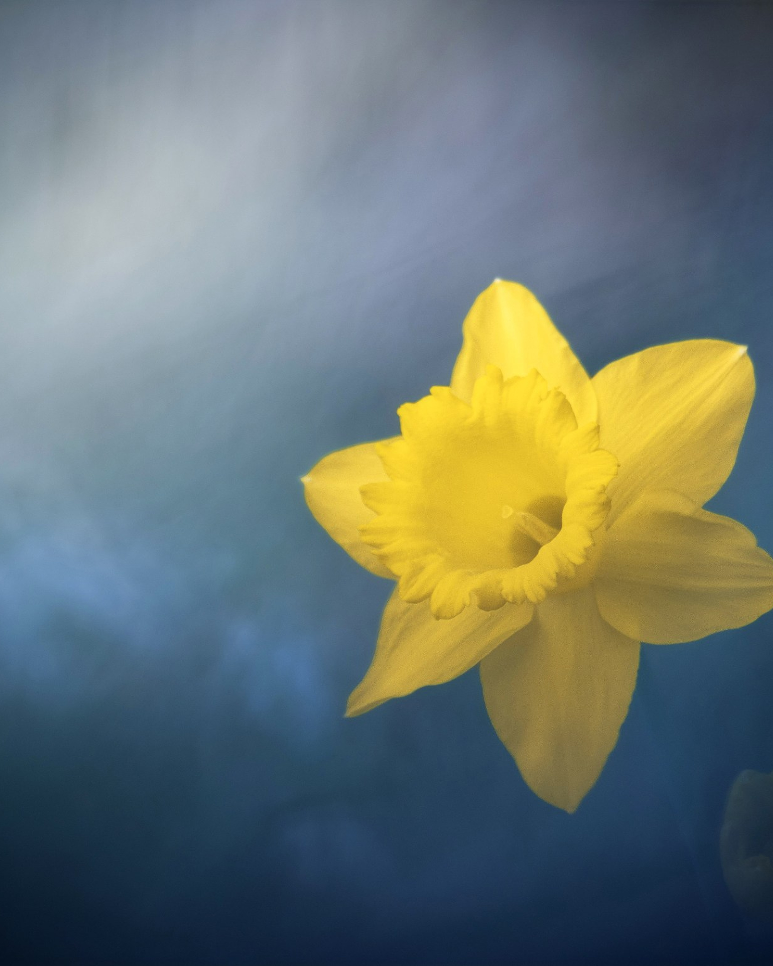 Intimate Landscapes