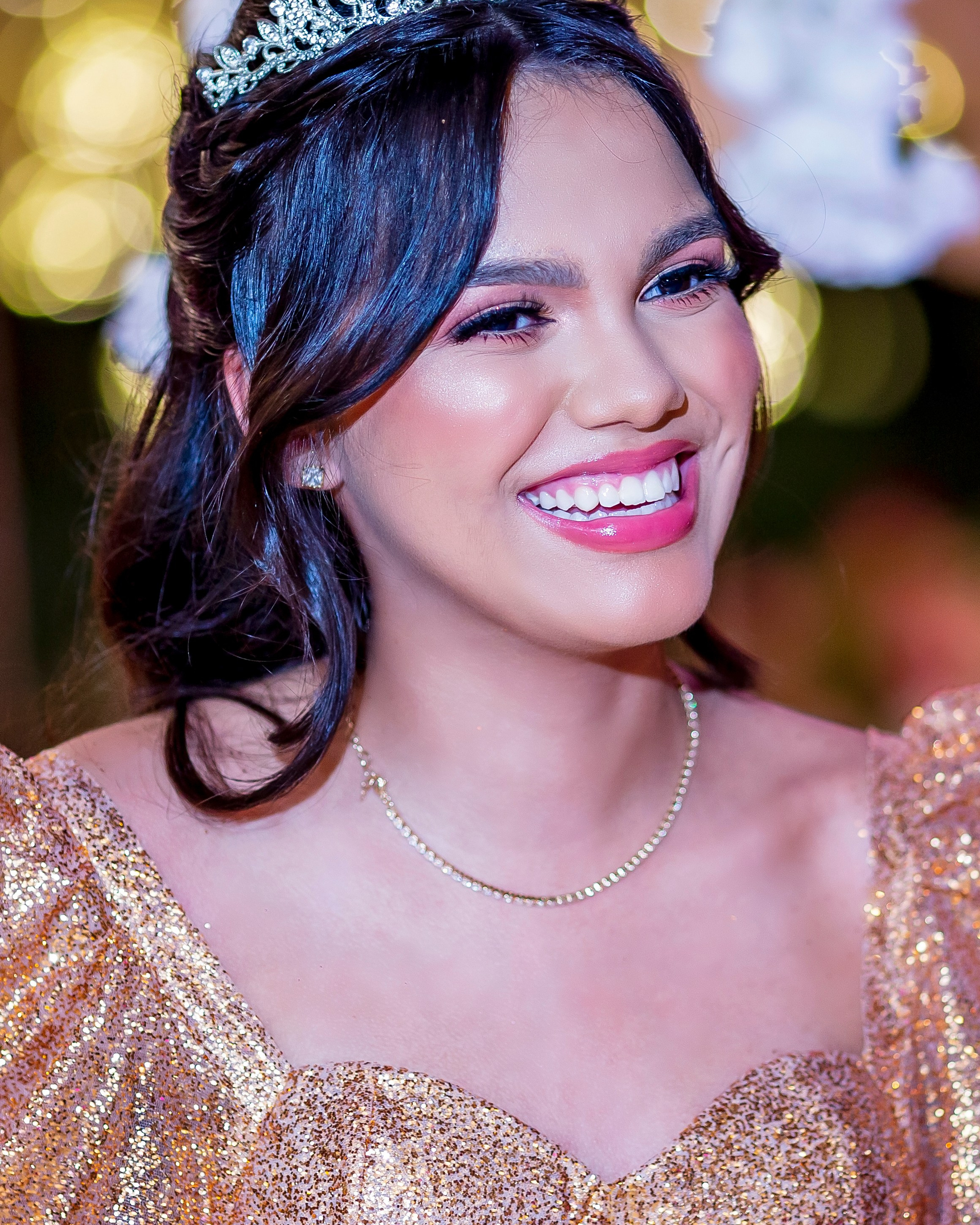 XV Anos Sophia
