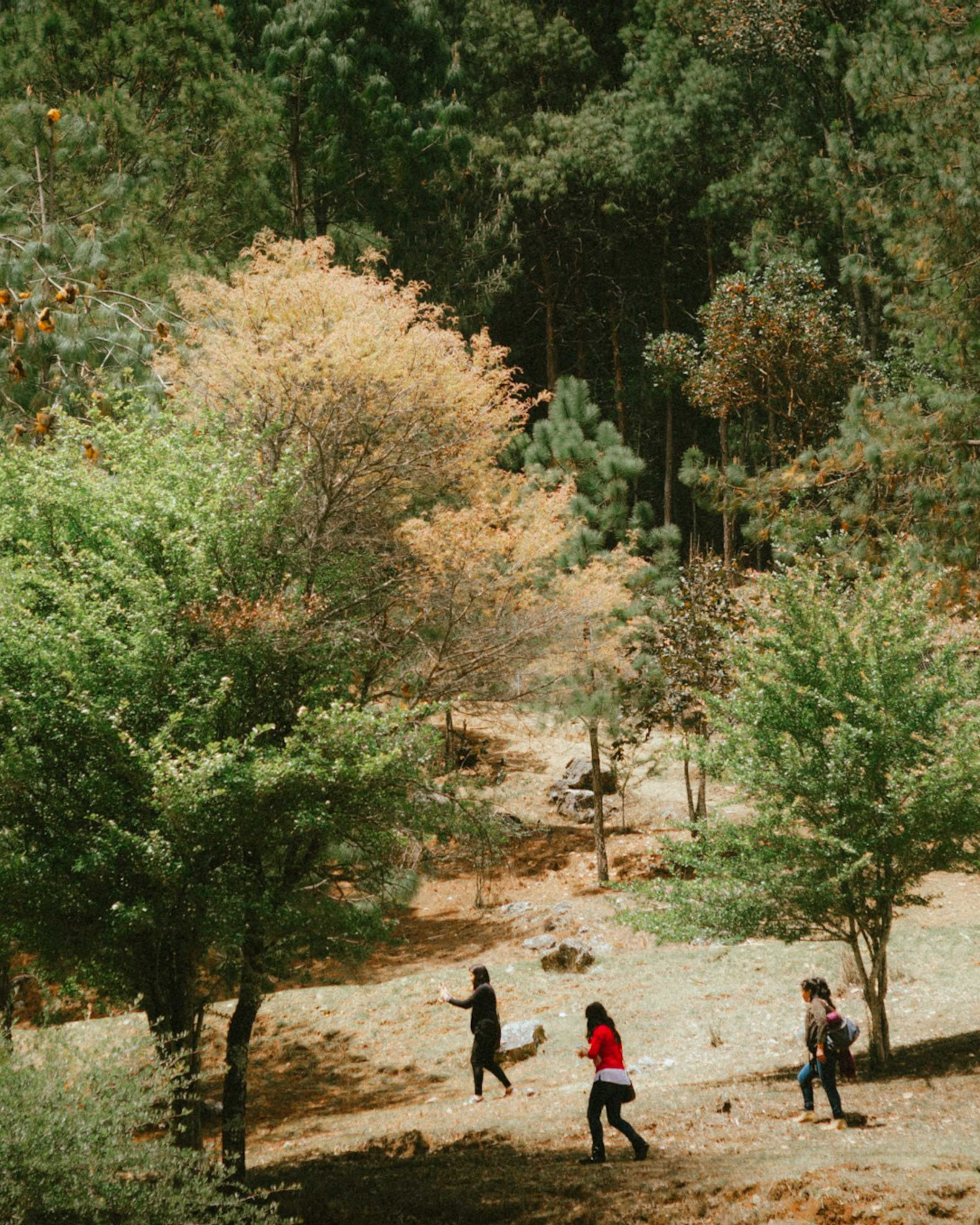Betania, Chiapas. 2017.