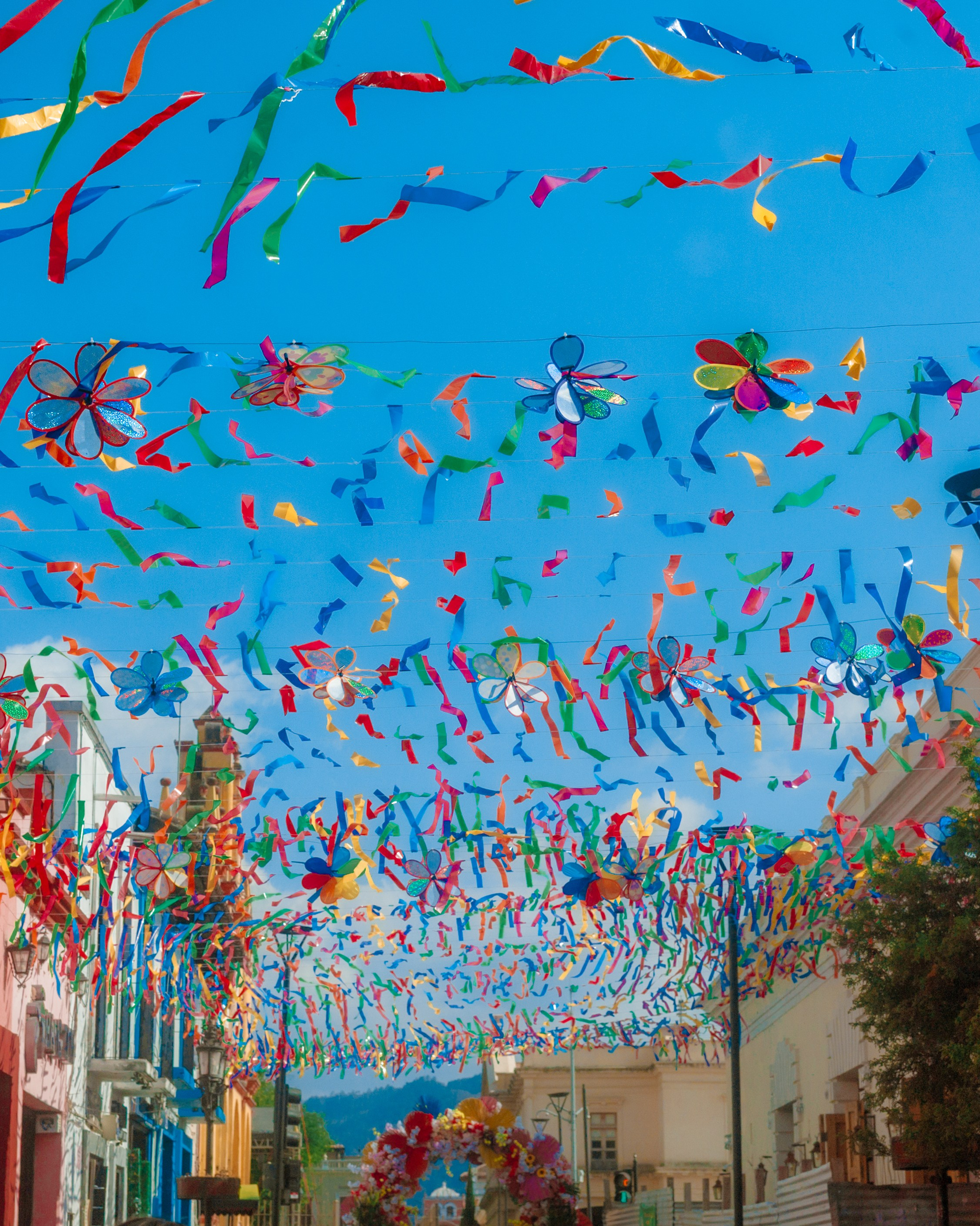 Centro Histórico de&nbsp;San Cris. 2025.