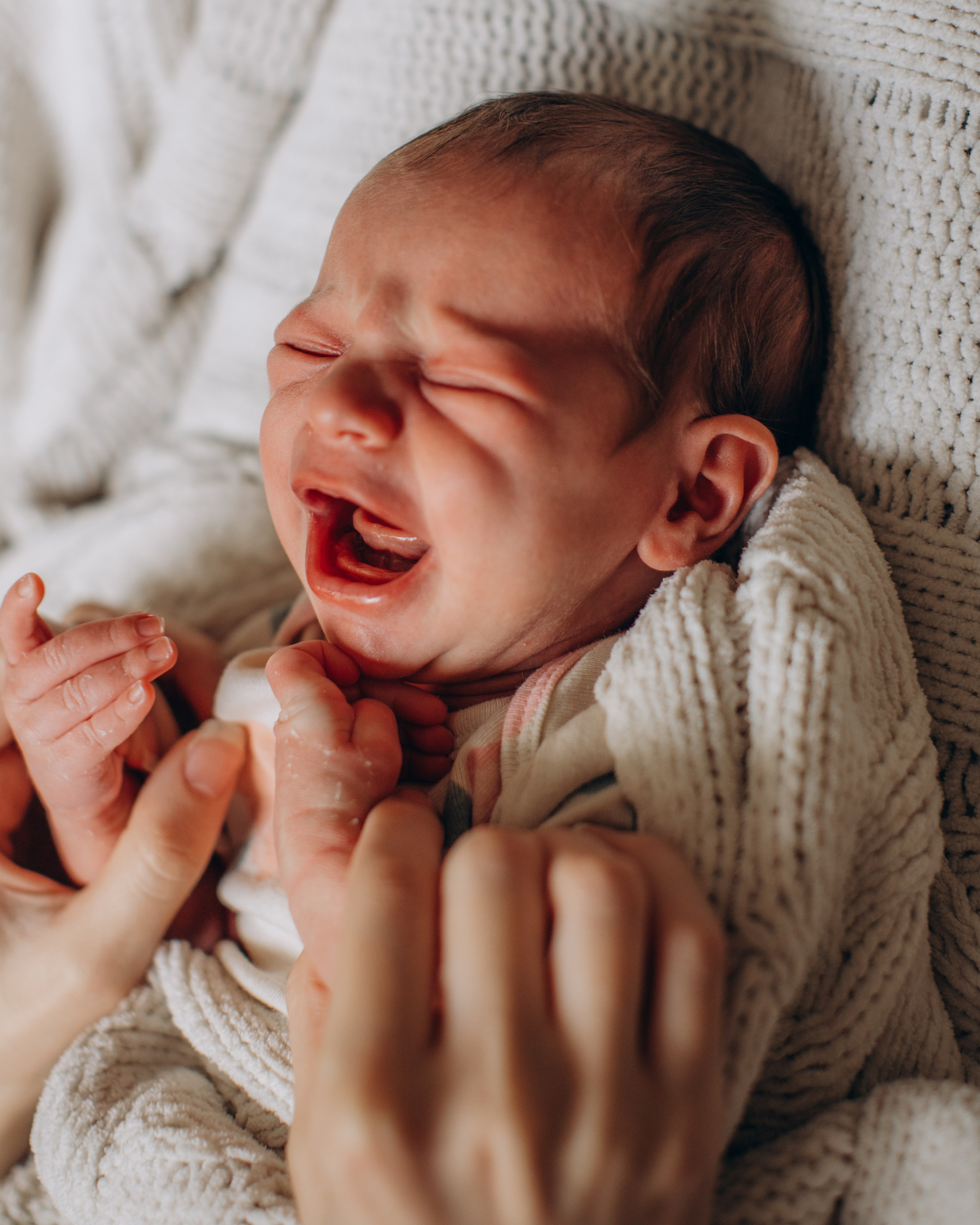 Isidora Grace Armstrong