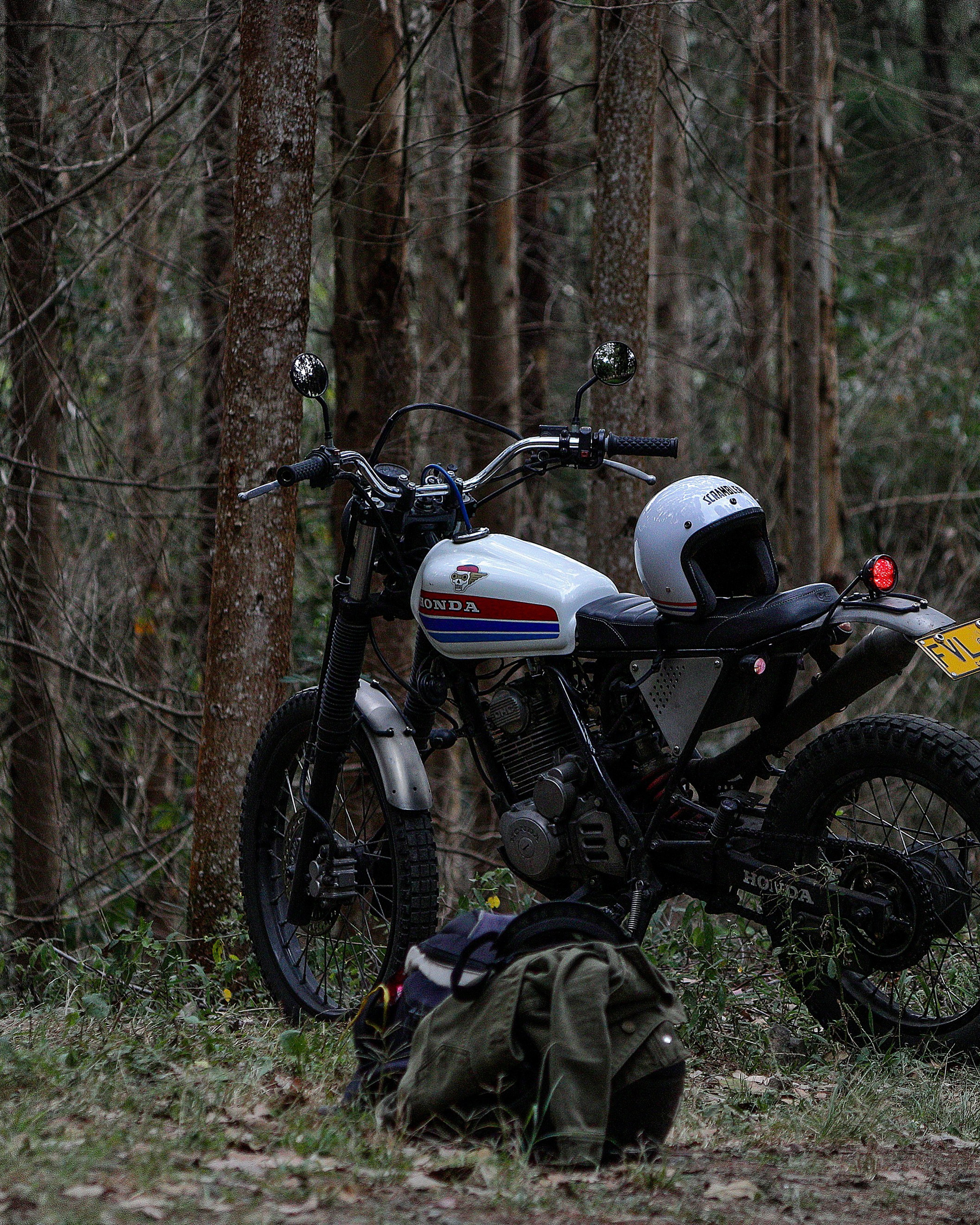 Estilo de&nbsp;vida y&nbsp;Retrato