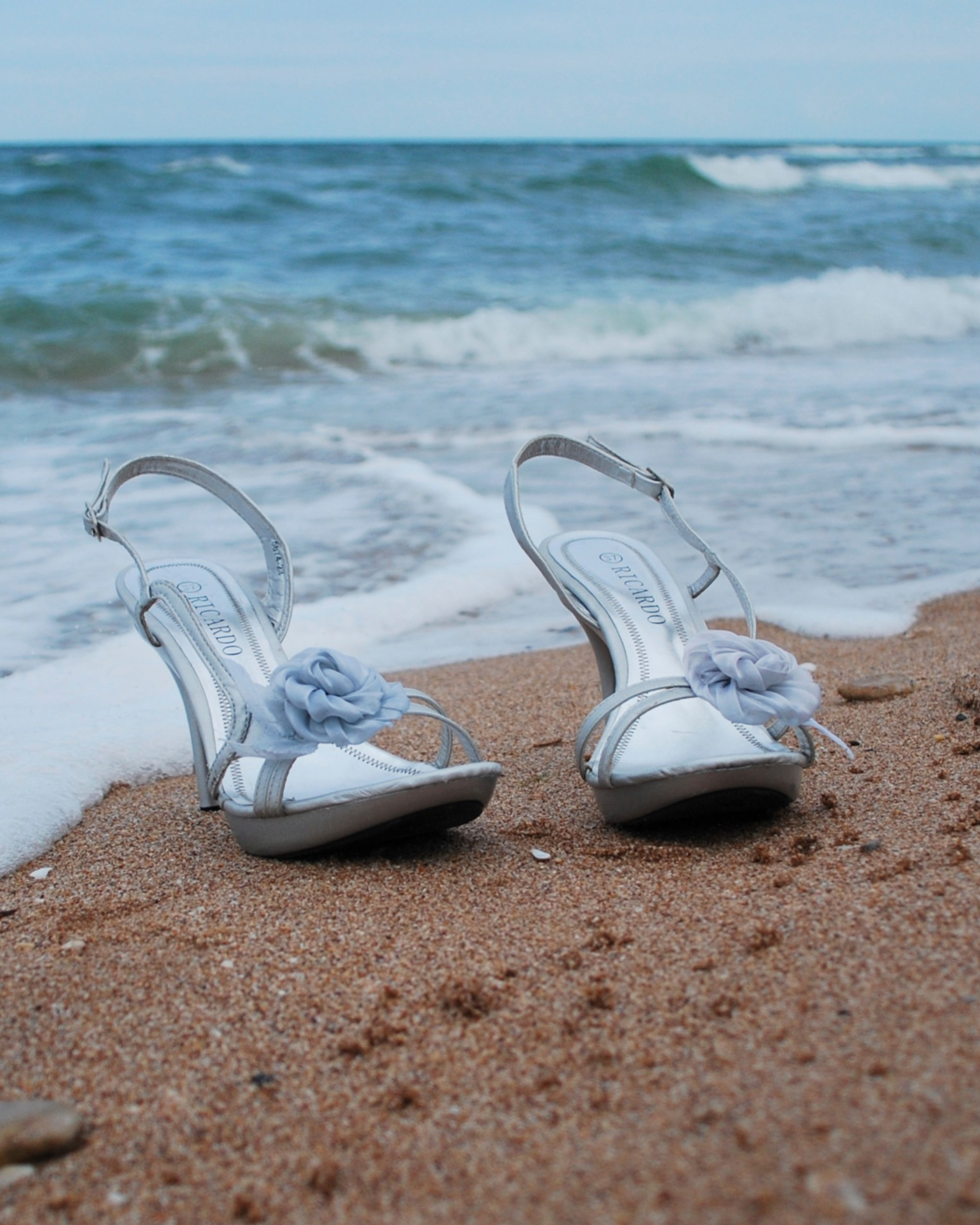 Moments in&nbsp;Focus