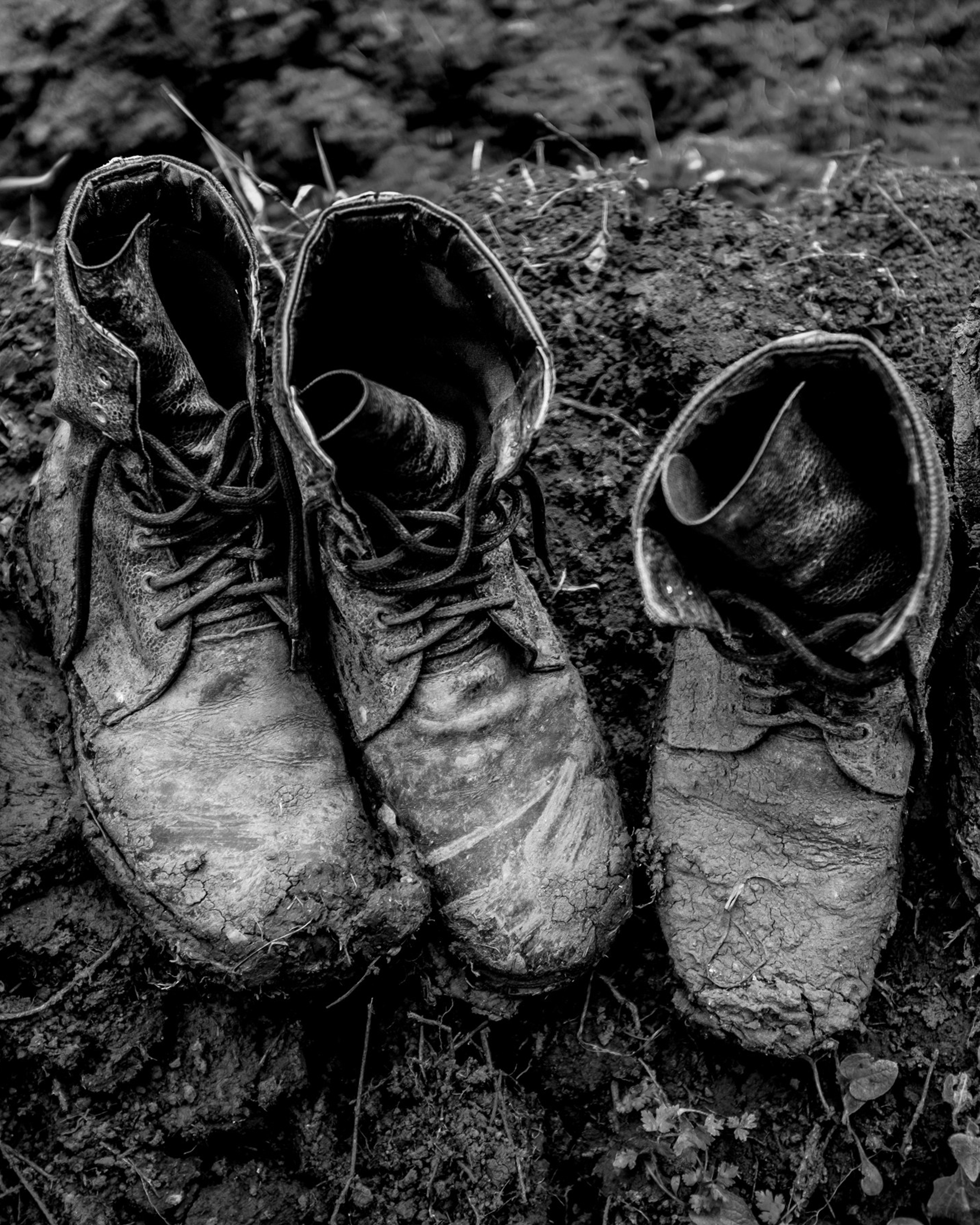 “Mob.” (Military mobilization), 2016