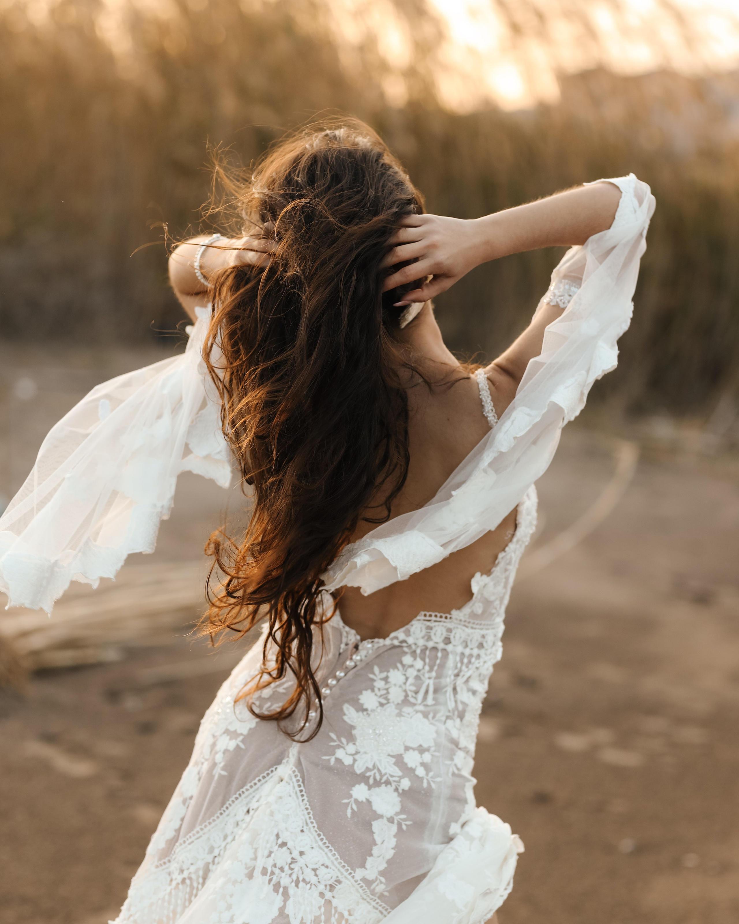 Sunset in the reeds