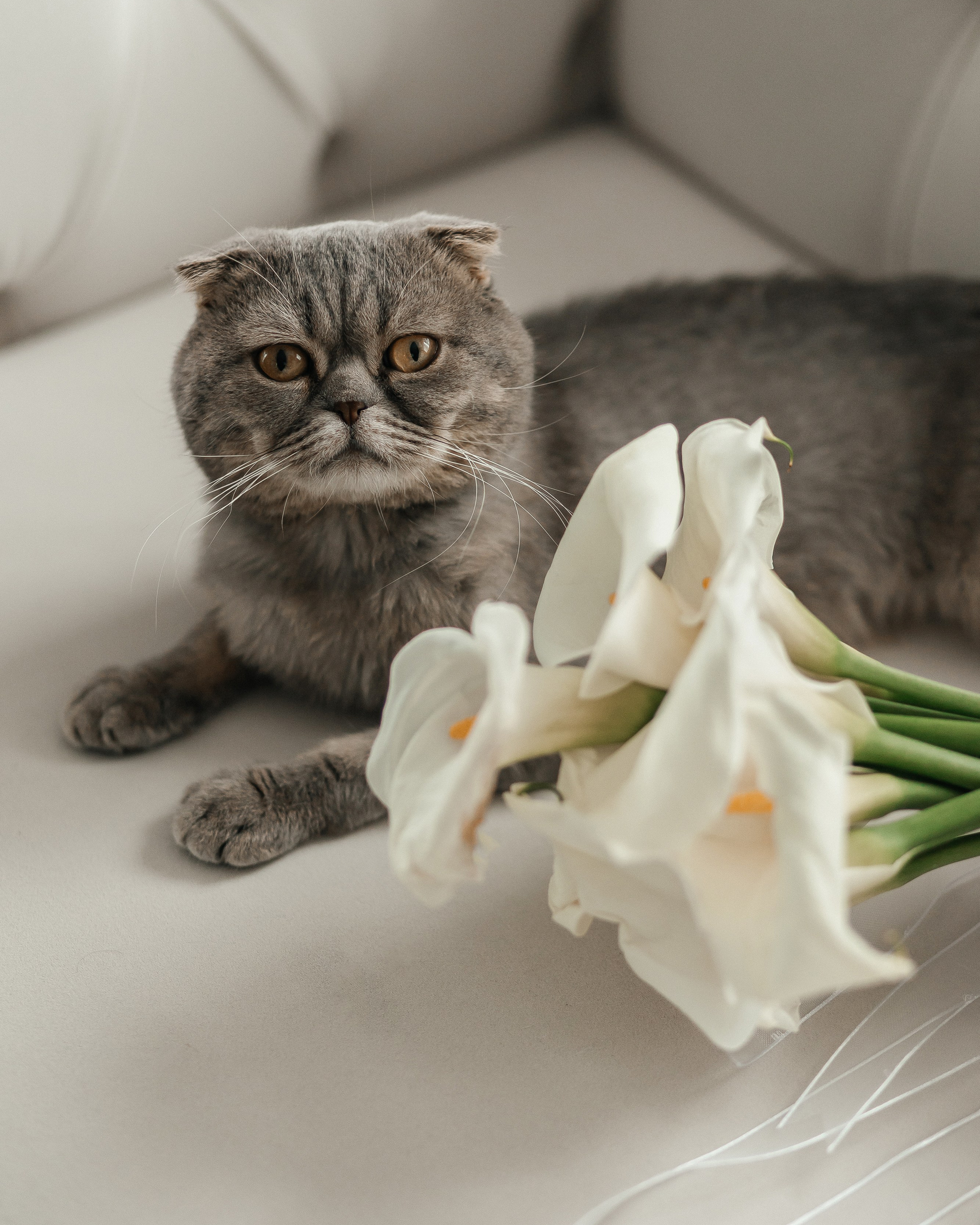 Наталья и Серхат