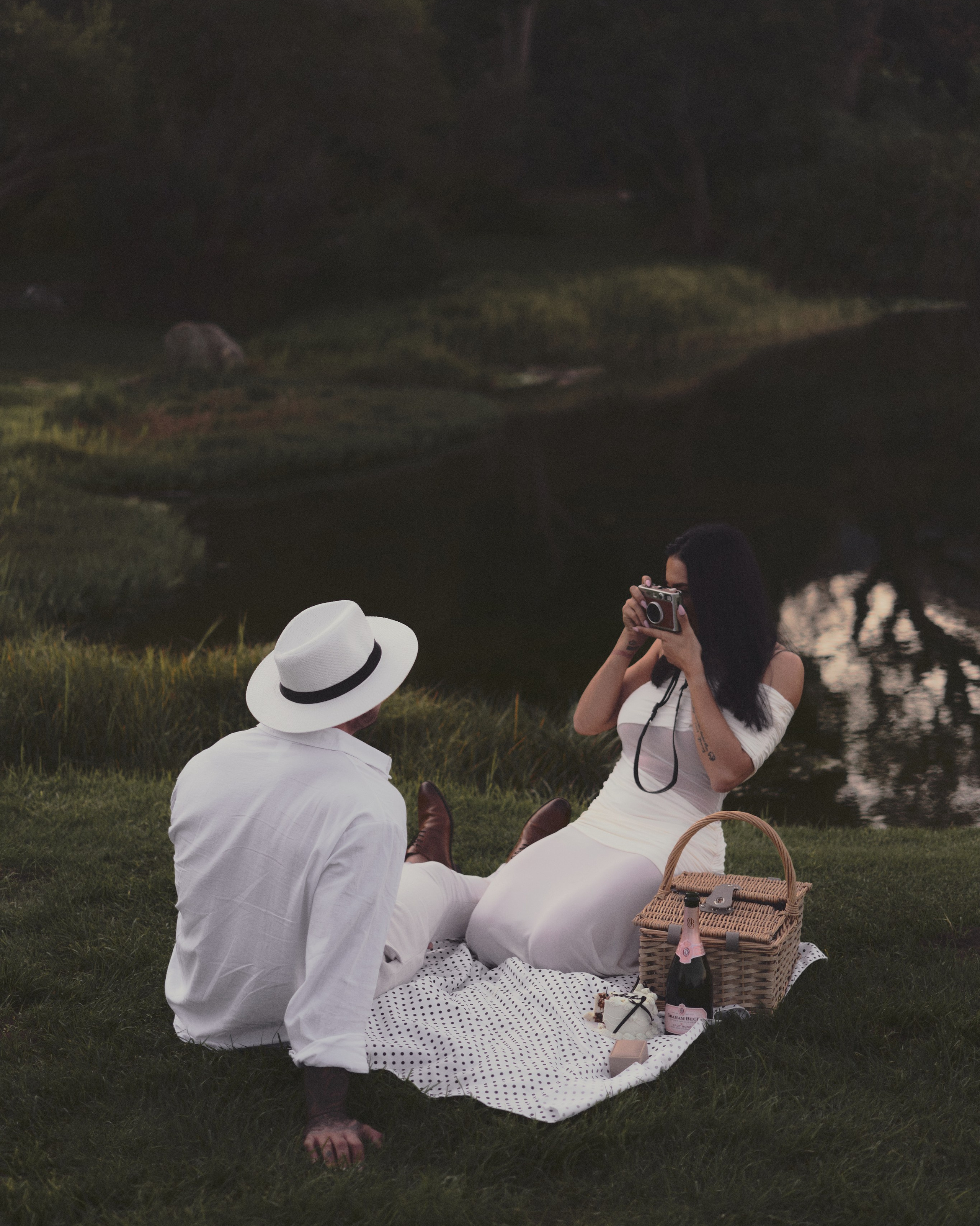 the proposal picnic