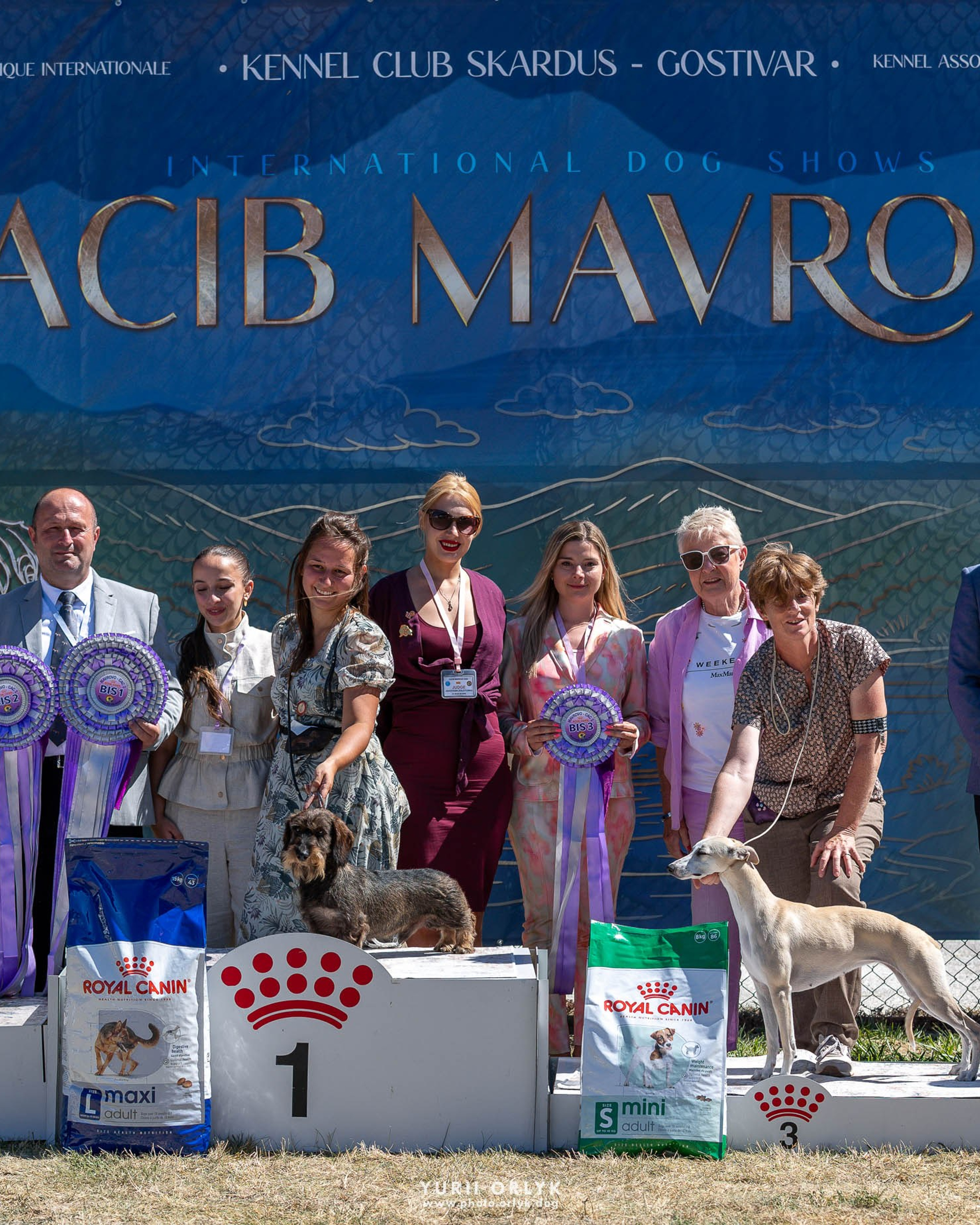 2026-08-02 Mavrovo. Day 2. Rings CAC+CACIB