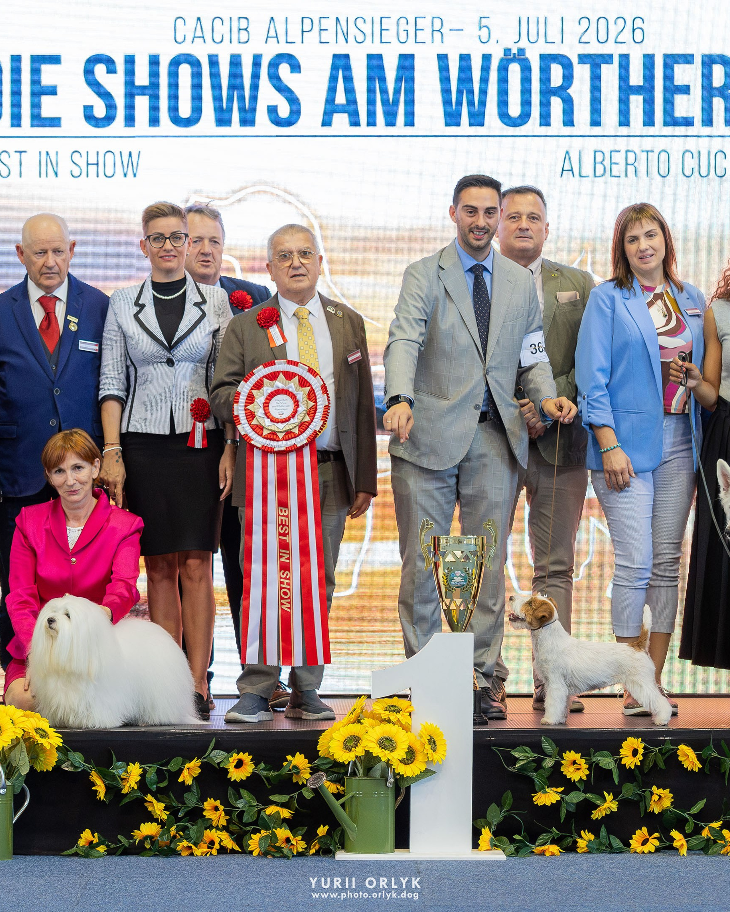 2026-07-05 CACIB Klagenfurt-2, Austria