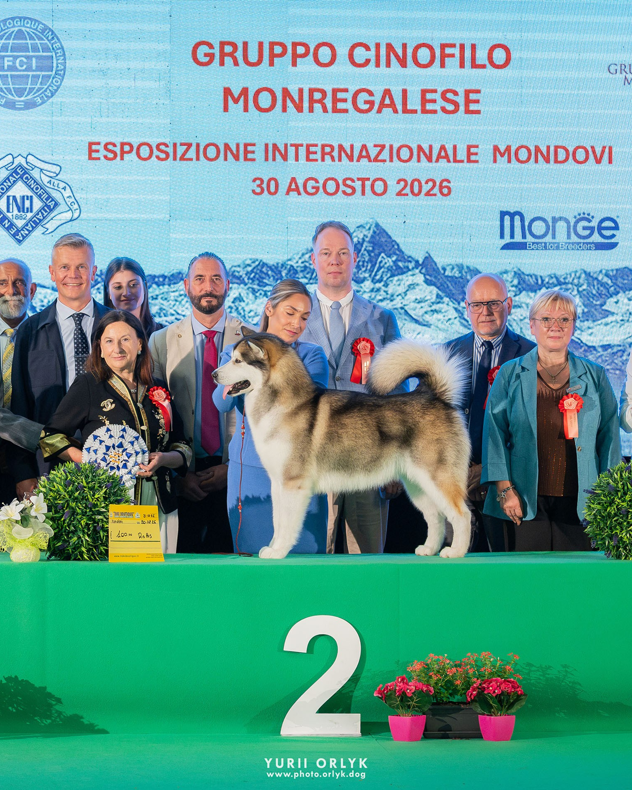 2026-08-30 Mondovicino Dog Show. Day 3. CACIB MONDOVI
