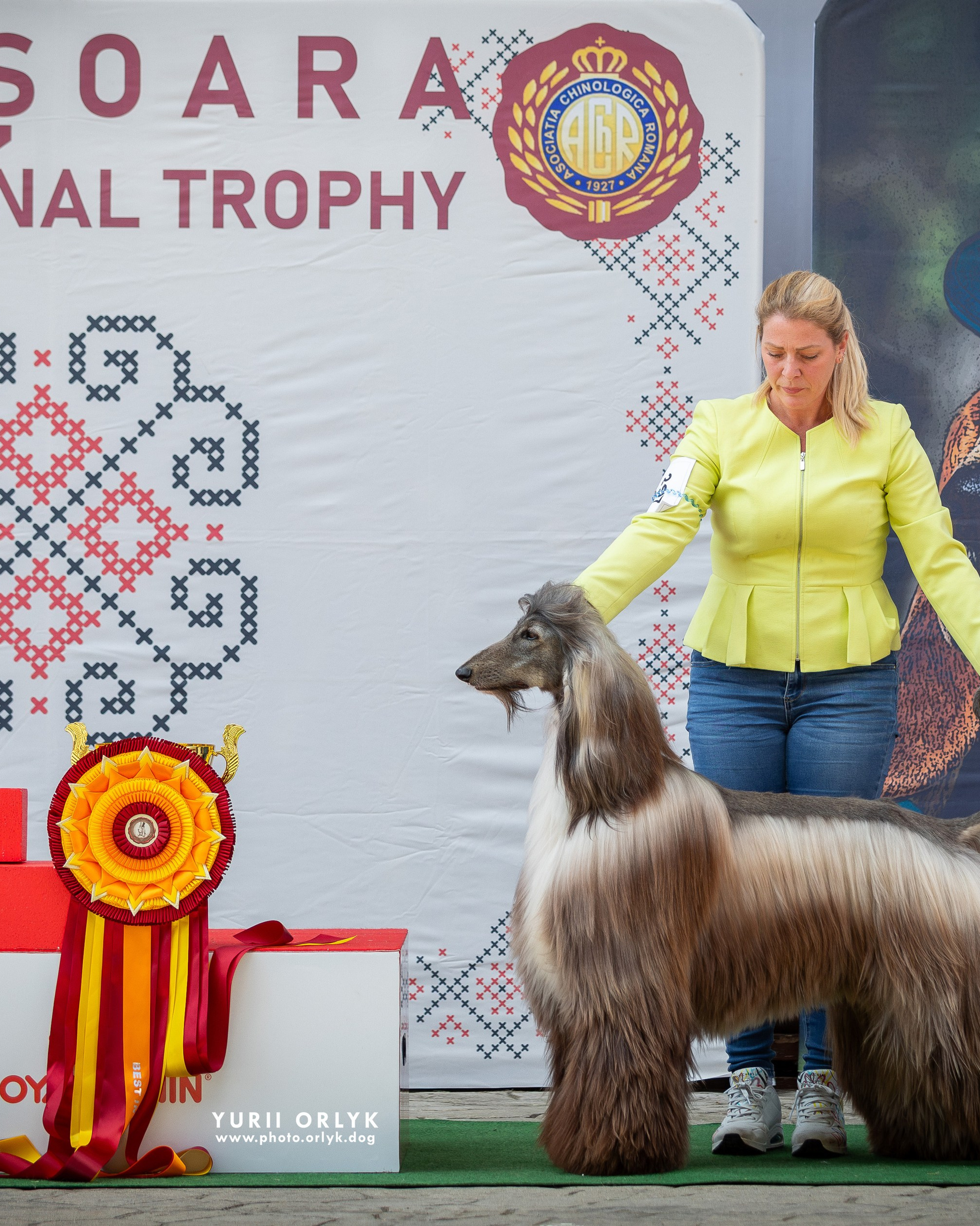 01/05/2026 Timisoara Traditional Trophy 2026 CAC+CACIB