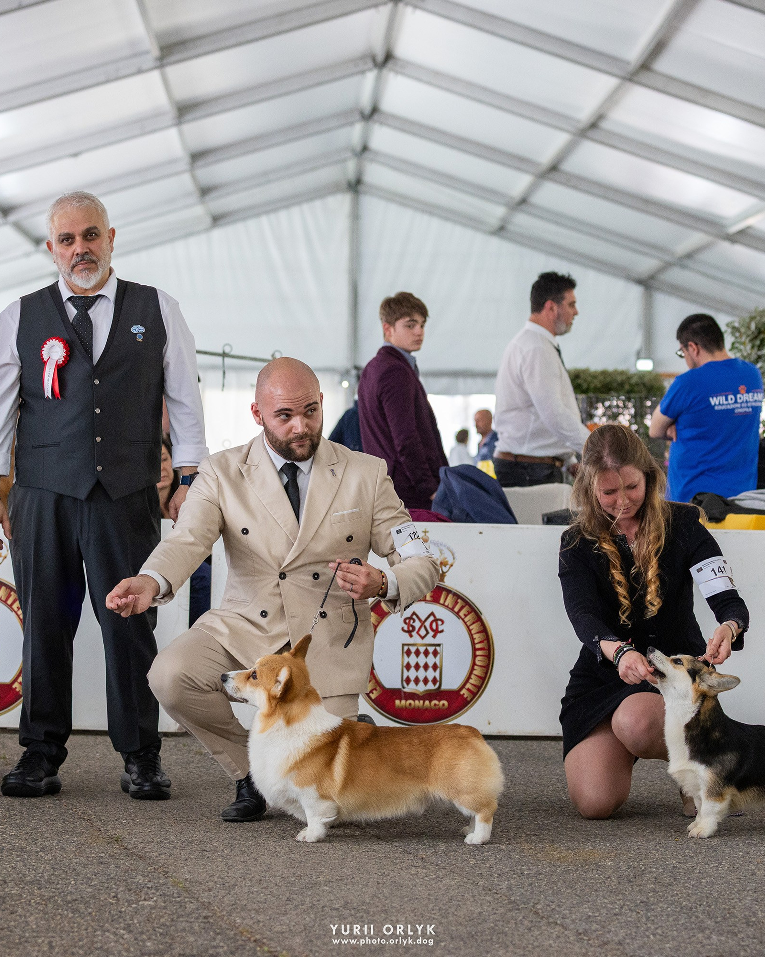 Monaco 2026 Corgi Ring