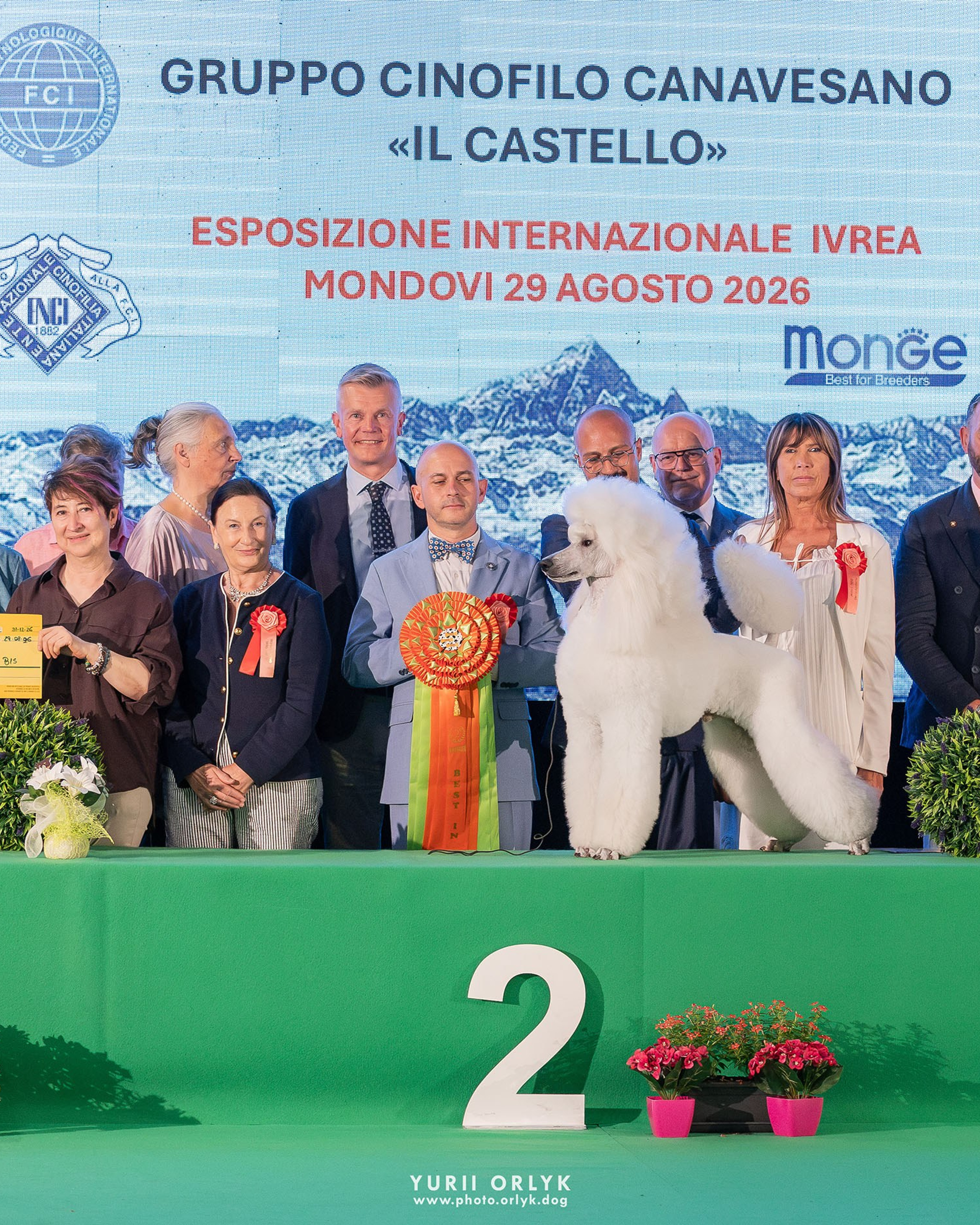 2026-08-29 Mondovicino Dog Show. Day 2. CACIB IVREA