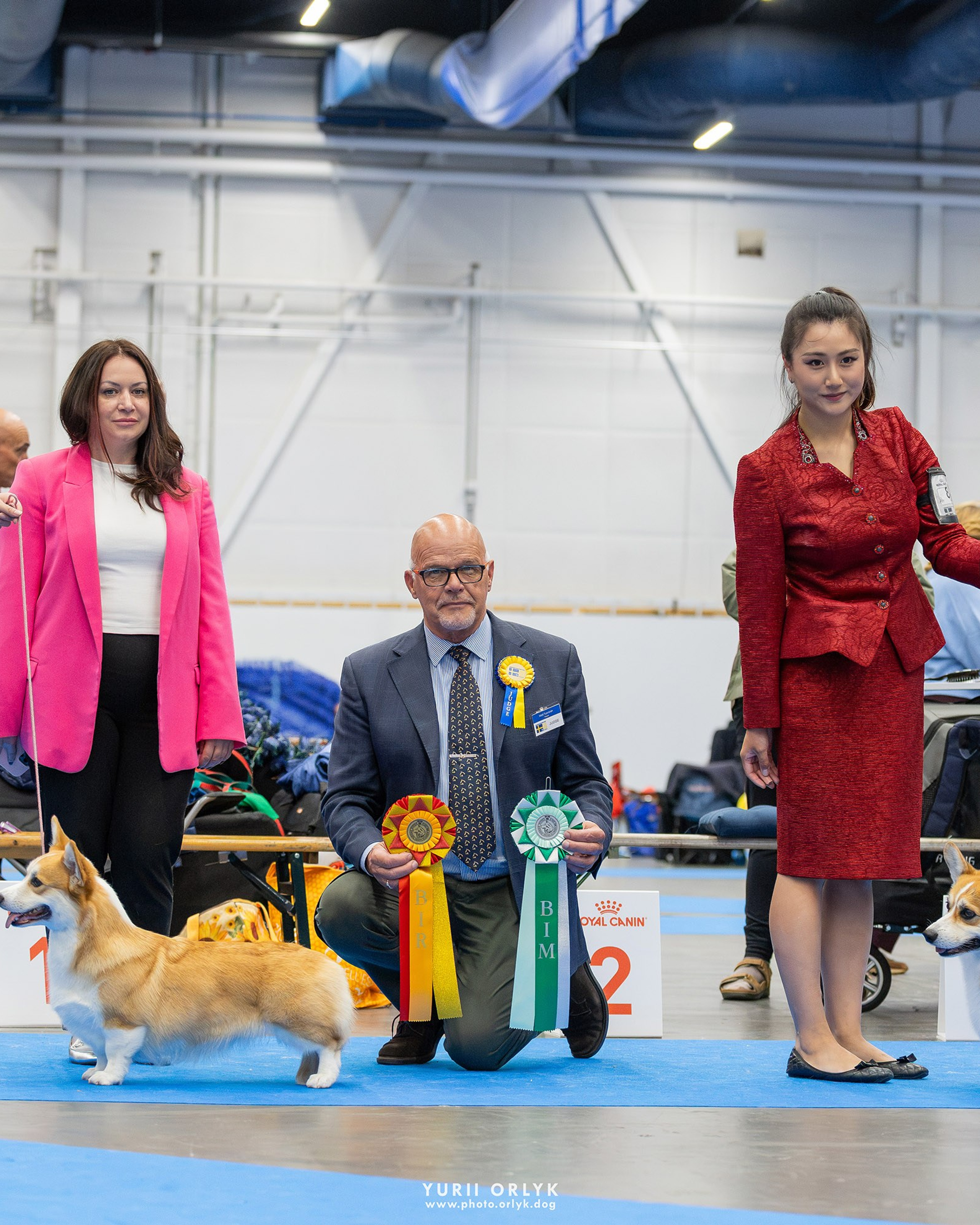 Euro Dog Show 2026. CORGIS. Stockholm. Sweden
