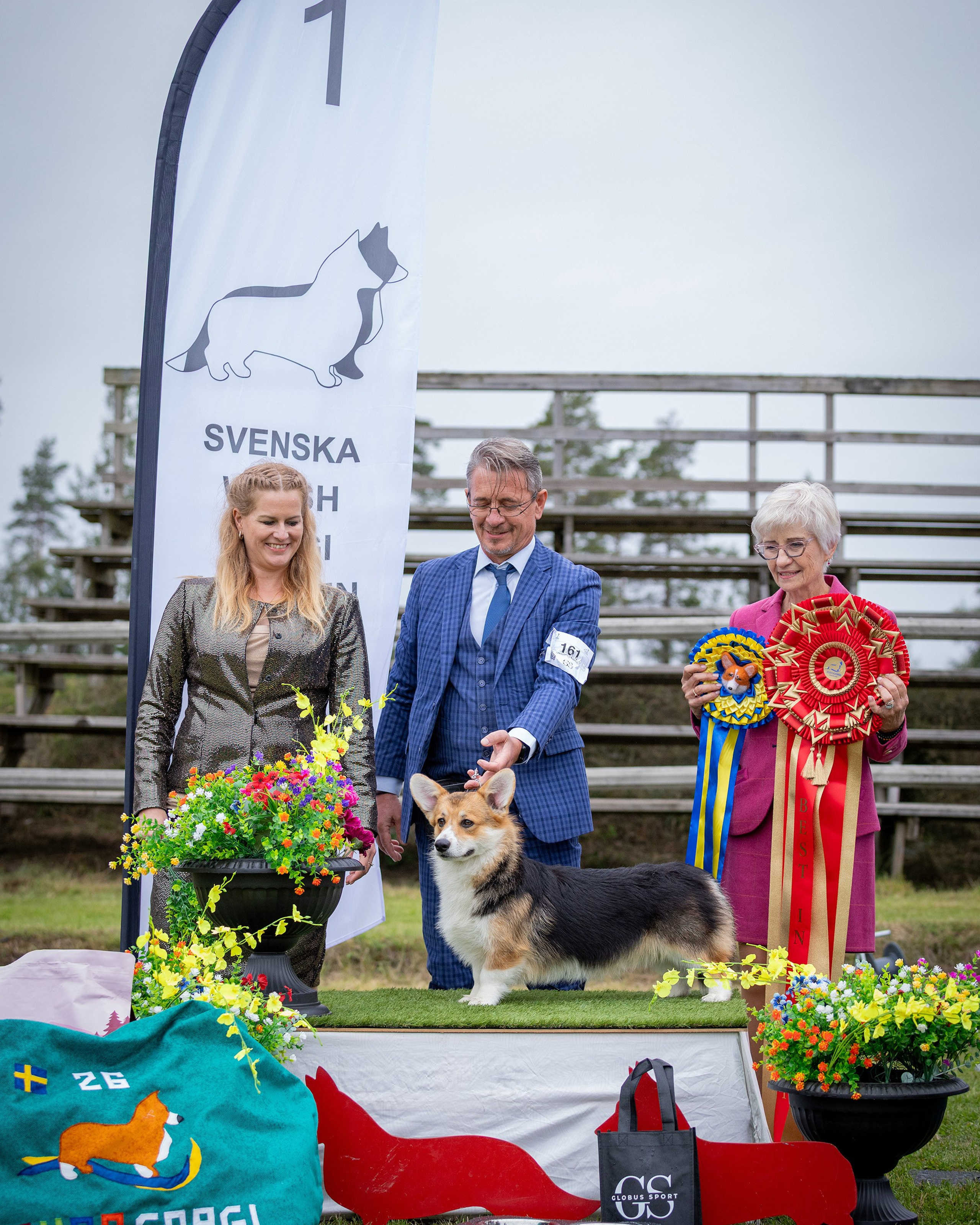 EuroCorgi 2026. Stockholm. Sweden