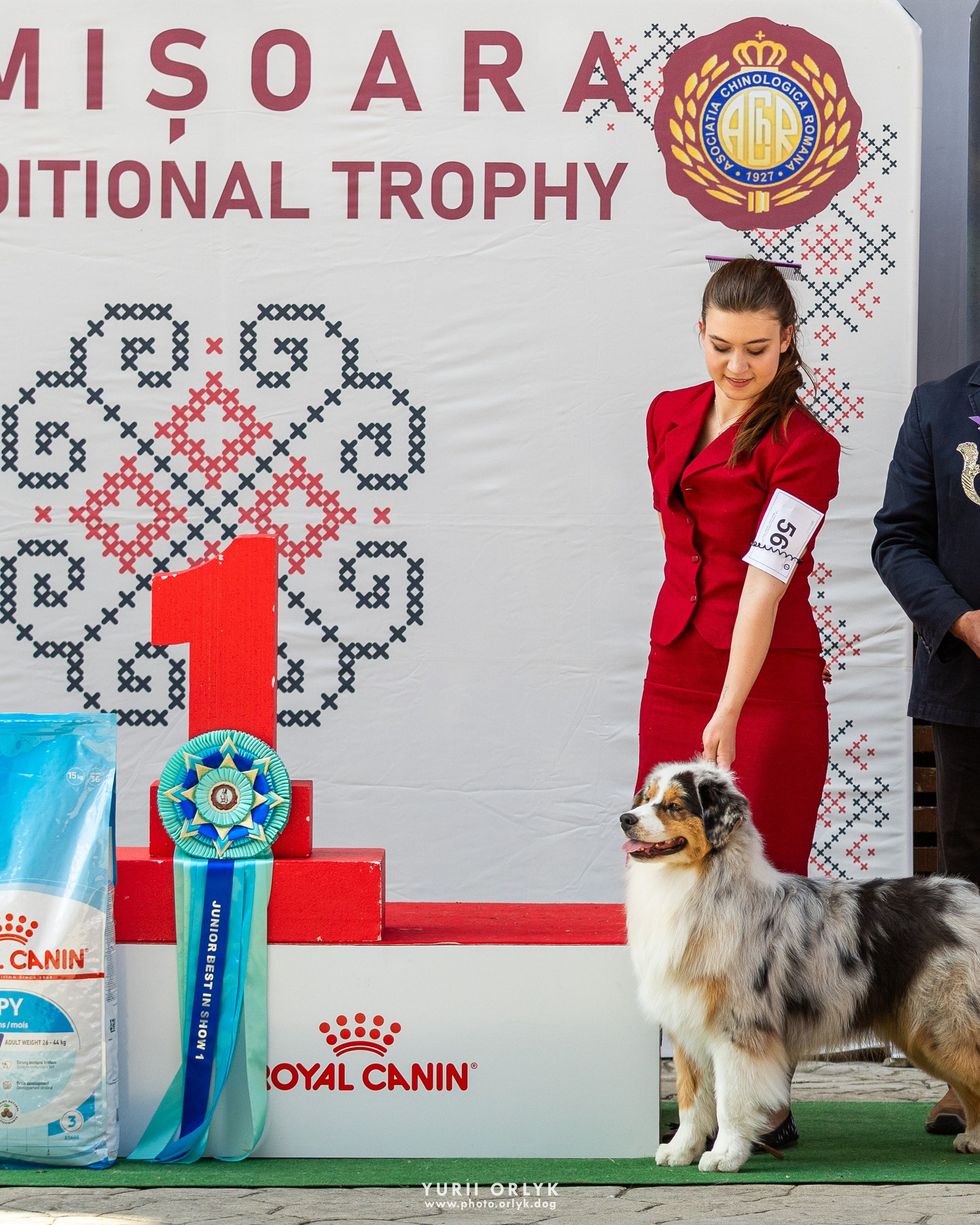 02/05/2026 Timisoara Traditional Trophy 2026 CAC+CACIB
