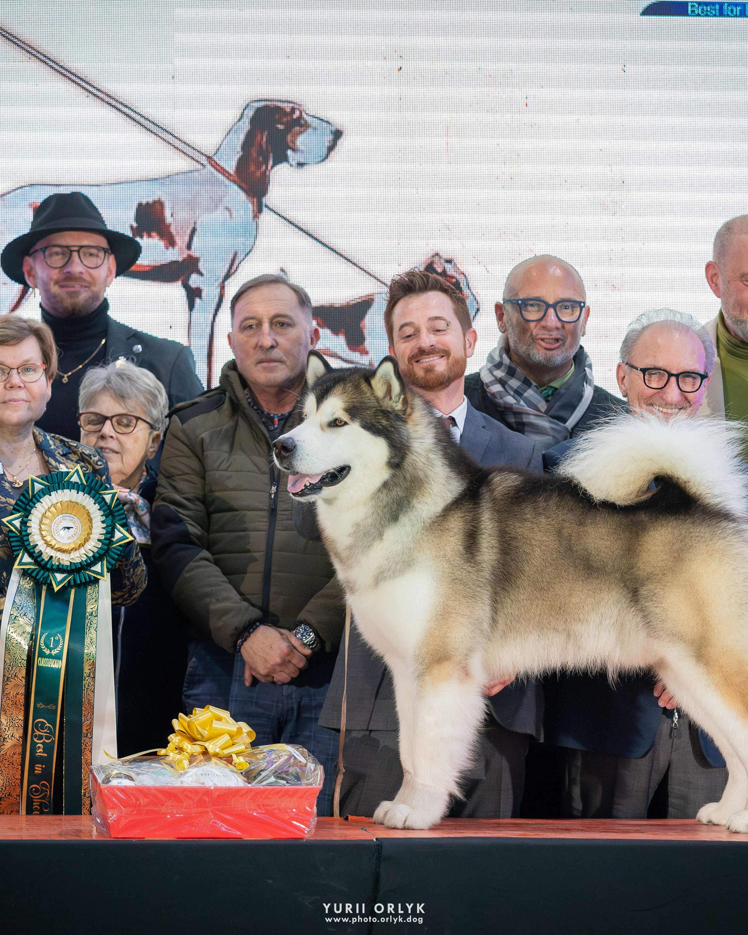 2026-02-07 ALESSANDRIA Best in Show