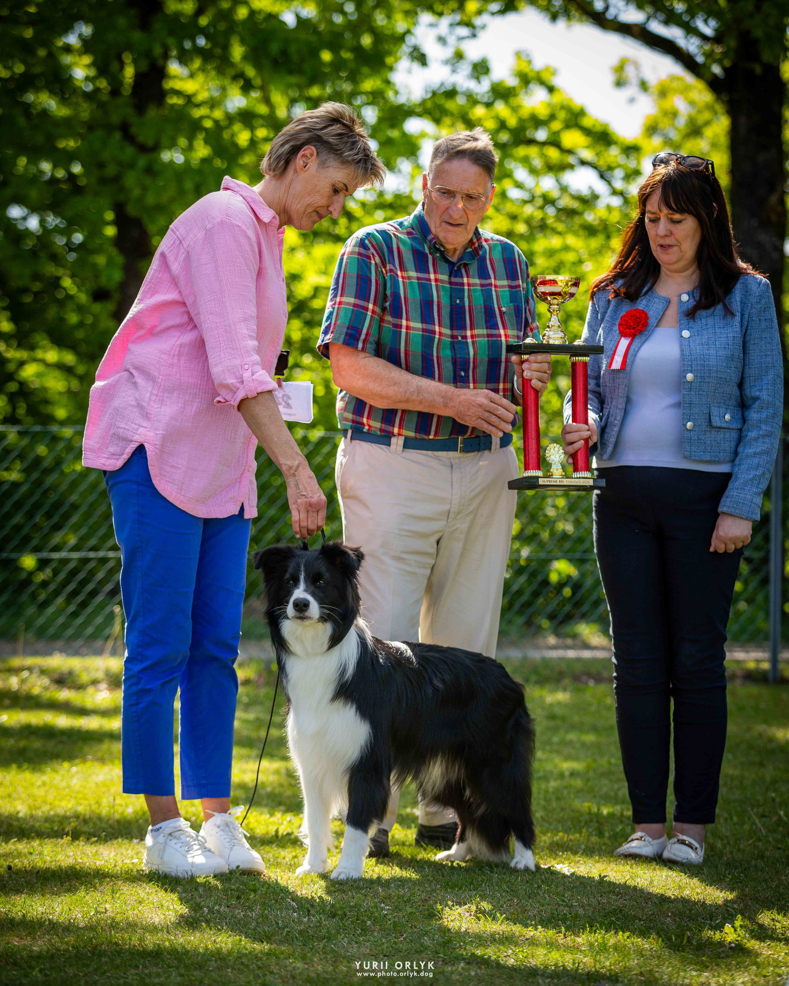 2026-05-03 Österreichischer Club für Britische Hütehunde