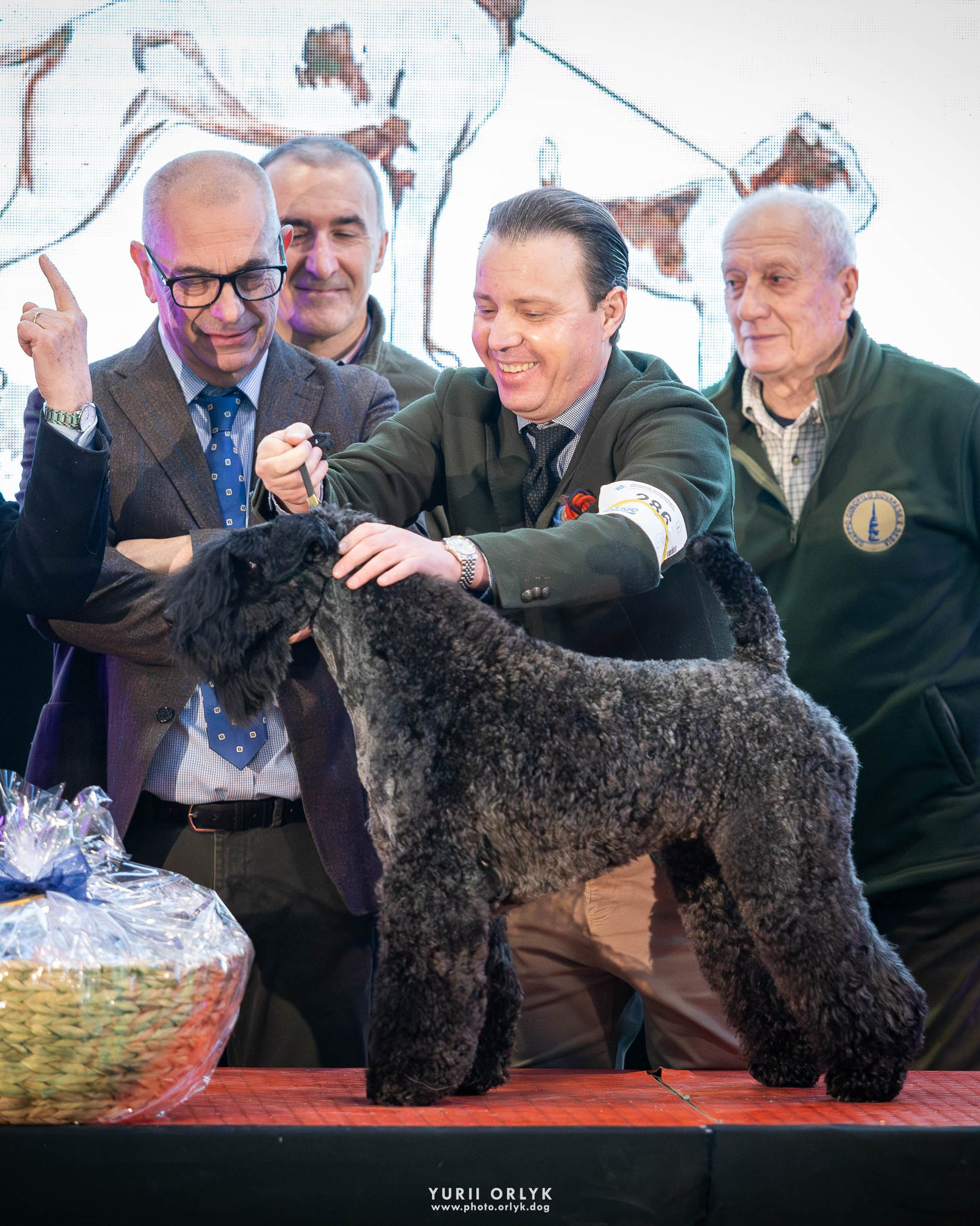 2026-02-08 NOVARA Best in Show