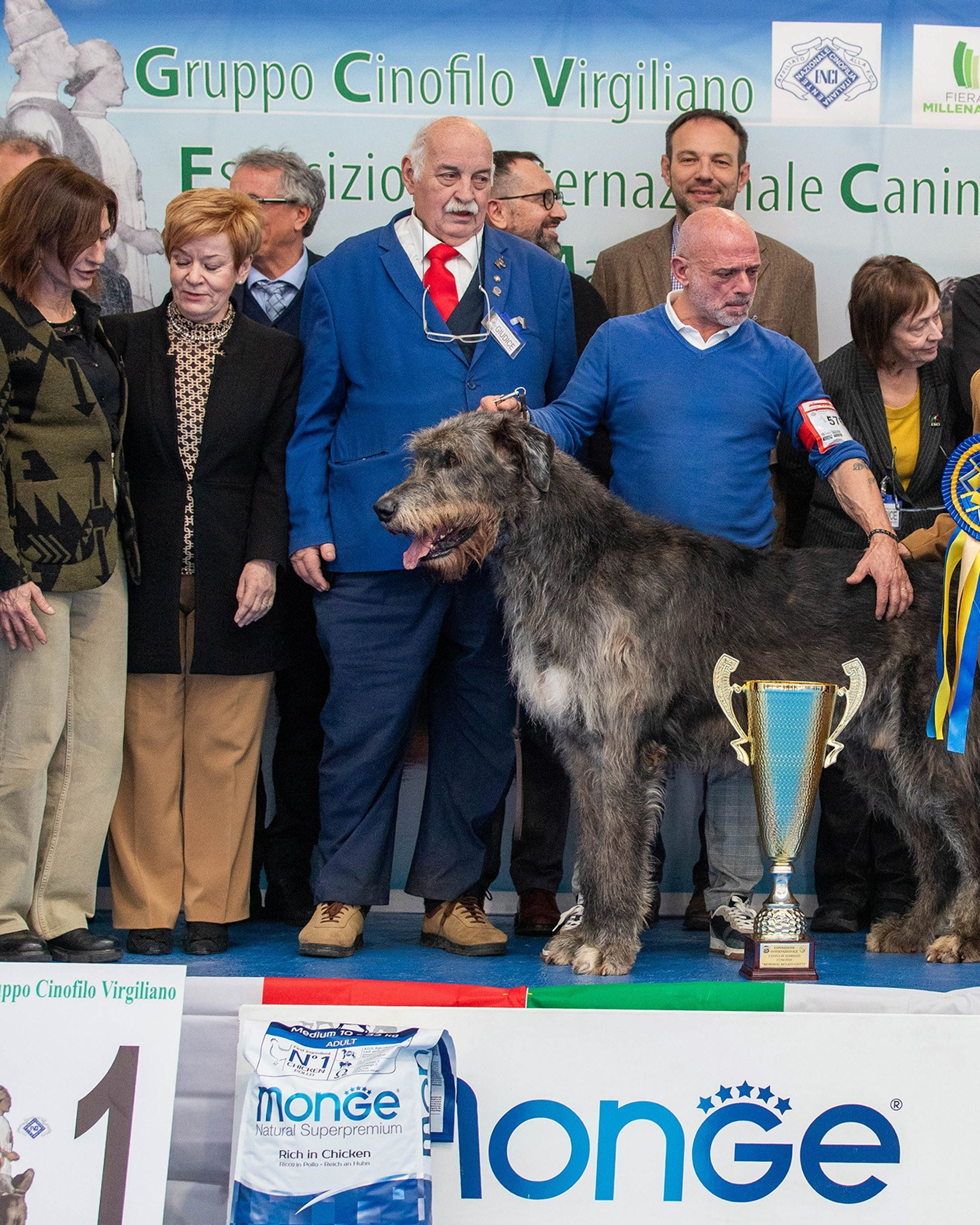 27/02/2026 CACIB SEDRIANO — Best in Show. GONZAGA day 1