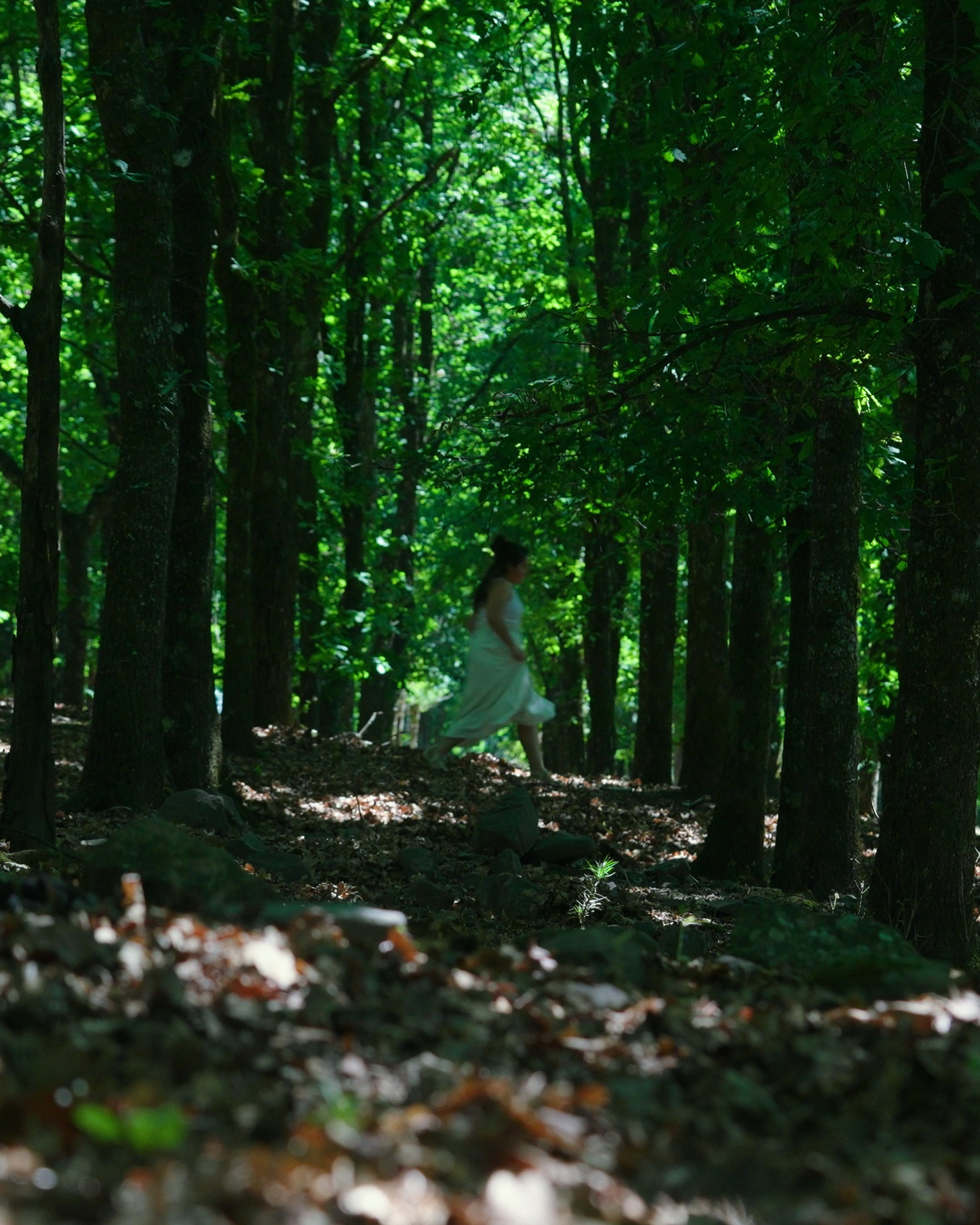 VIDEOCLIP «Río»