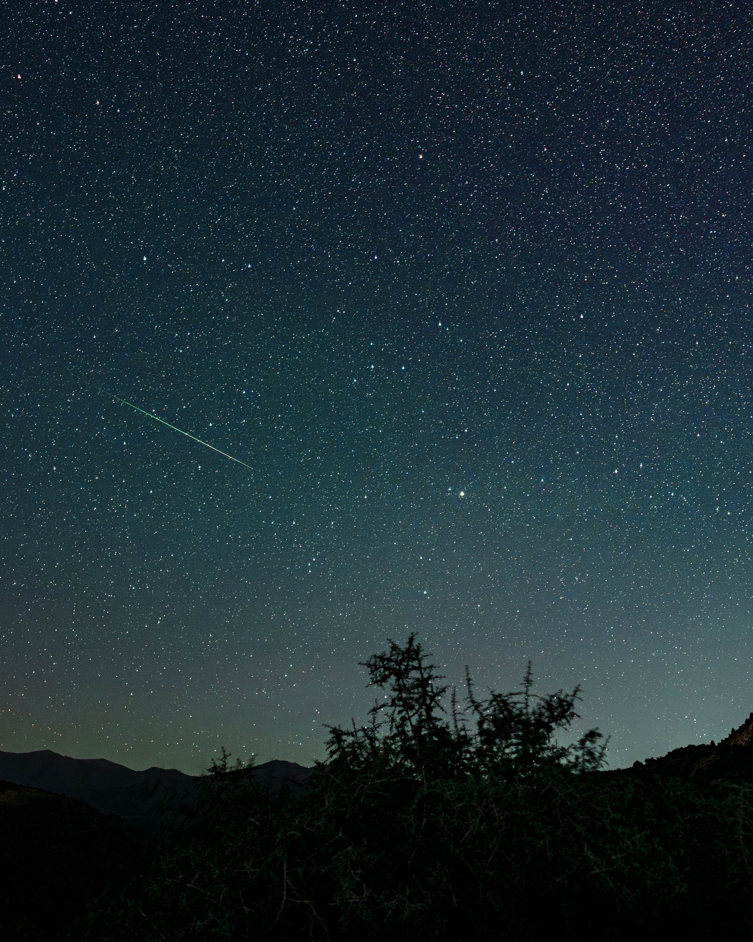 Perseids