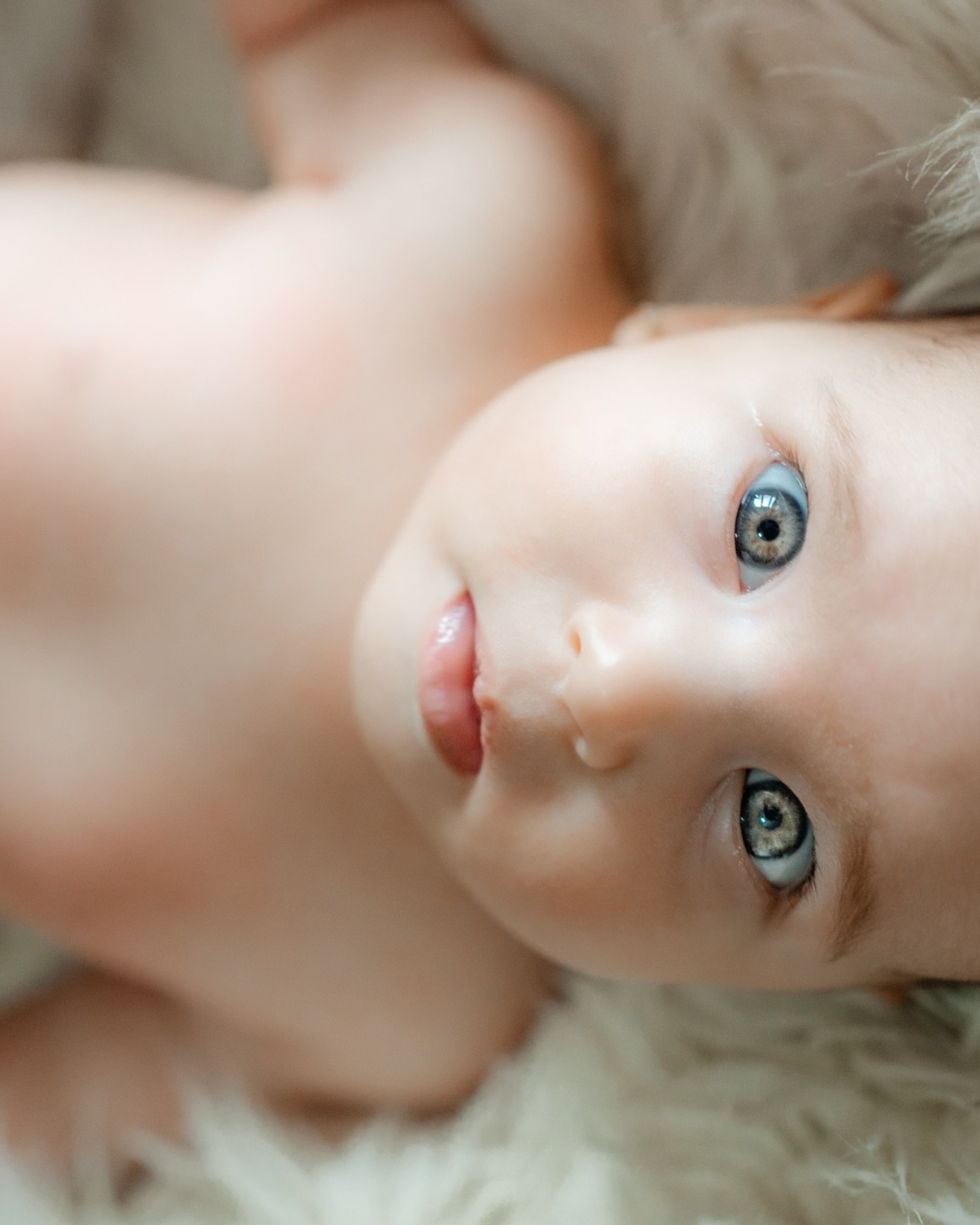 Botez Evelina | Berbesti