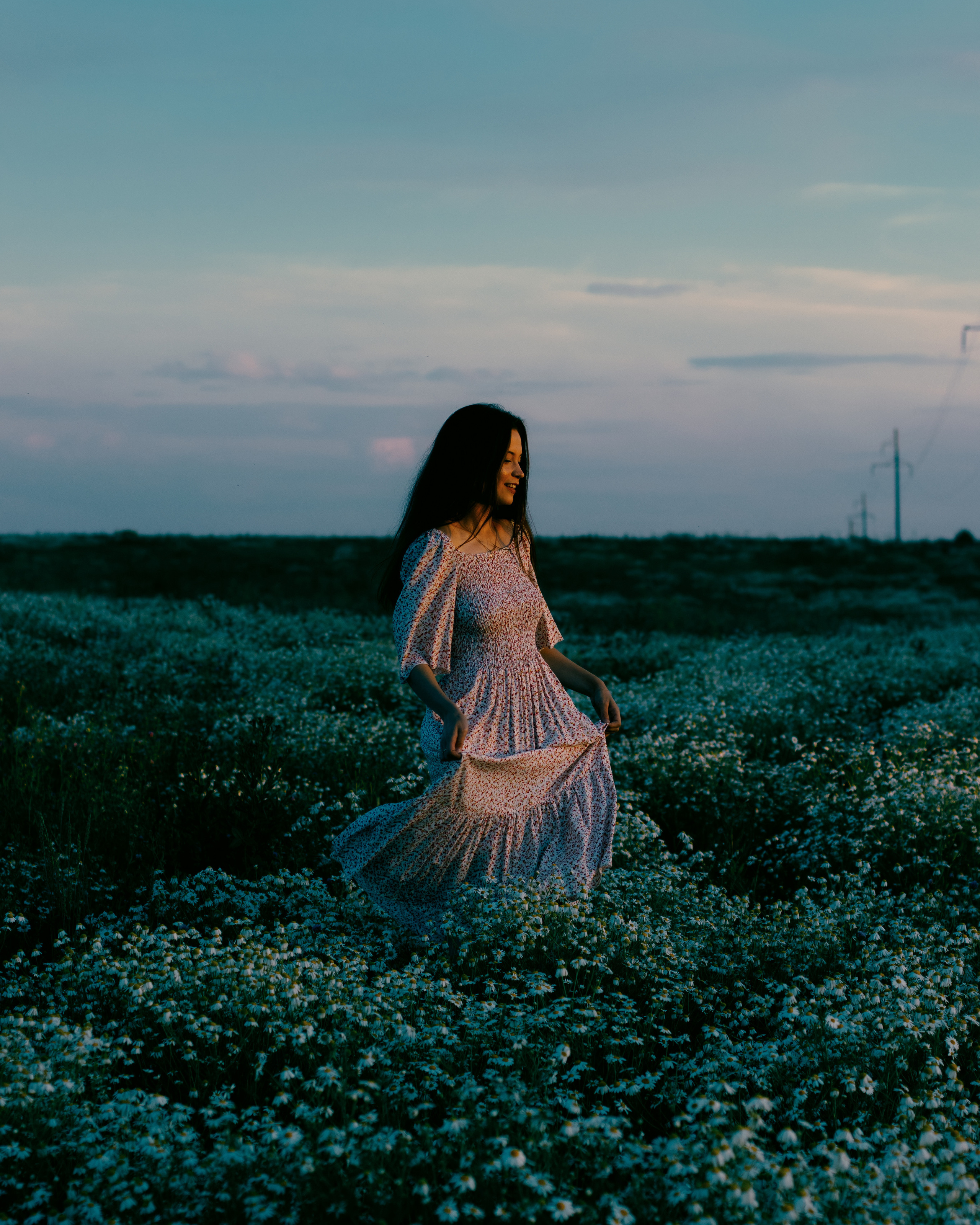 Брызги солнца на лугу